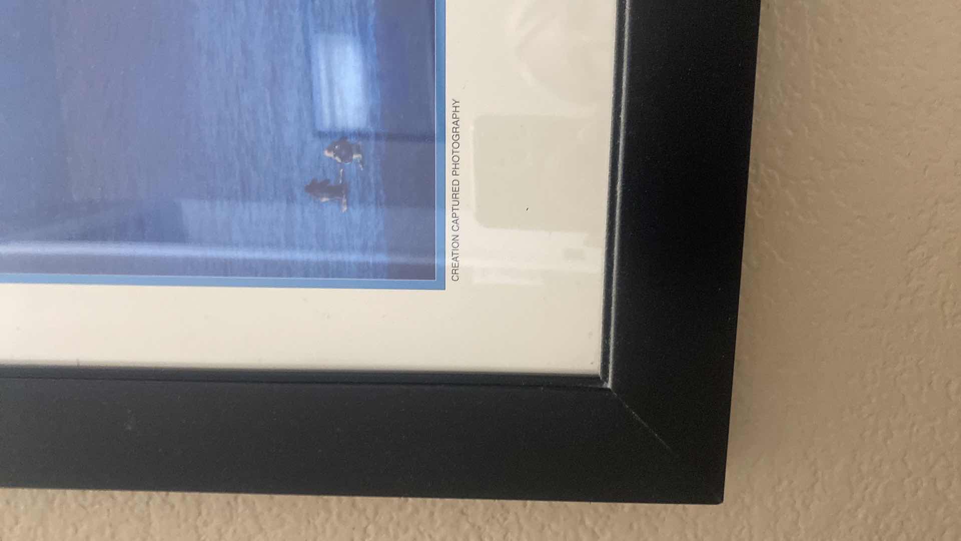 Photo 1 of VINTAGE FRAMED HAWAIIAN CLASSICS SUNSET BEACH CREATION, CAPTURED PHOTOGRAPHY, DECEMBER 1989 ARTWORK 27“ X 21“