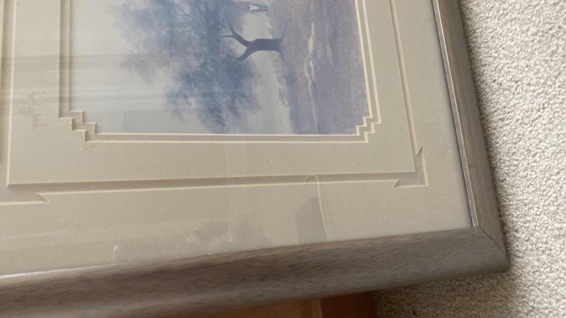 Photo 1 of $150 FRAMED WATERCOLOR PRINT ”BREAKING THE MORNING SILENCE” BY PALADINE ROYE 18“ X 16“
