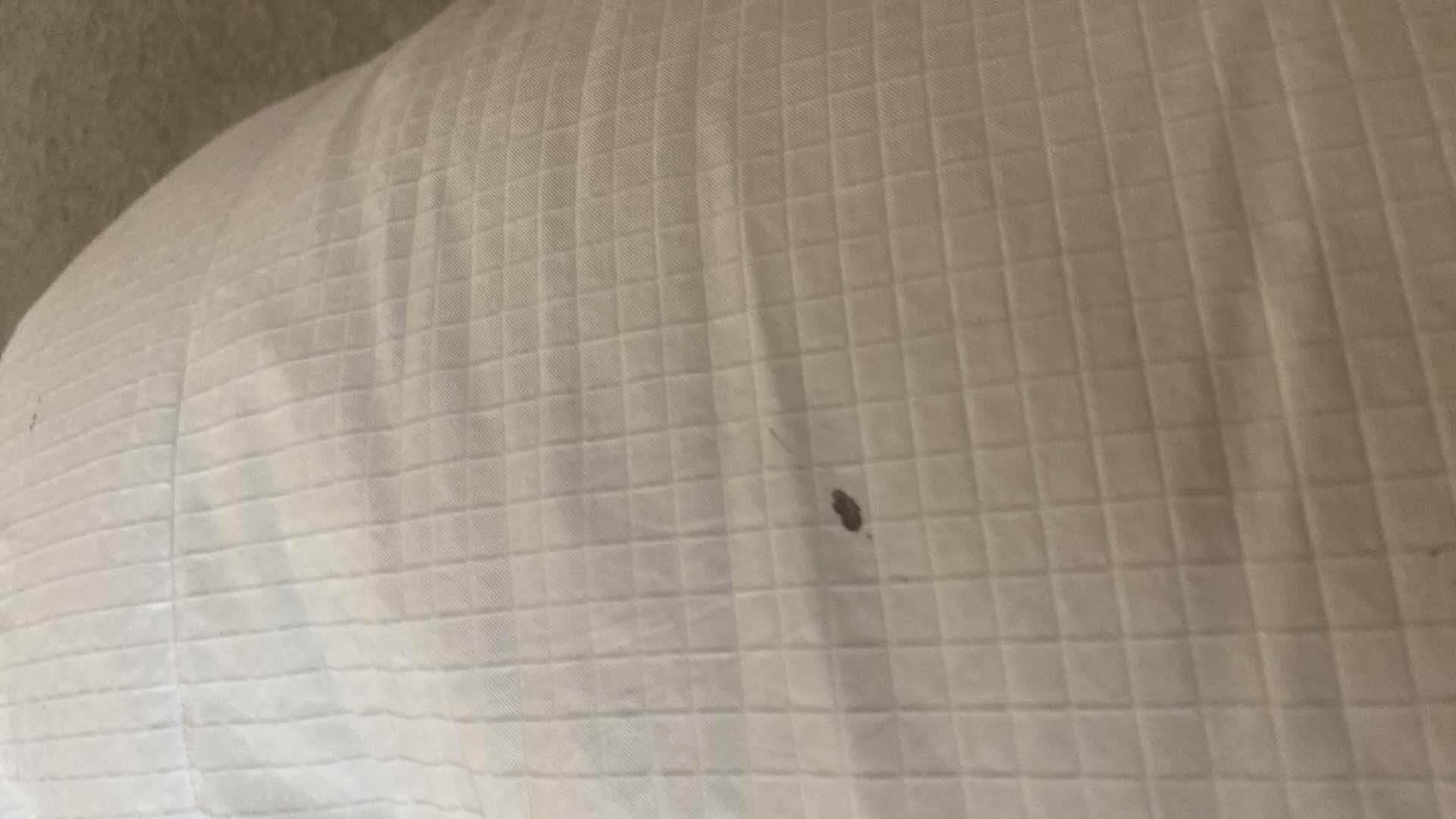 Photo 1 of RALPH LAUREN KING COMFORTER & UNKNOWN BRAND BED SHEETS