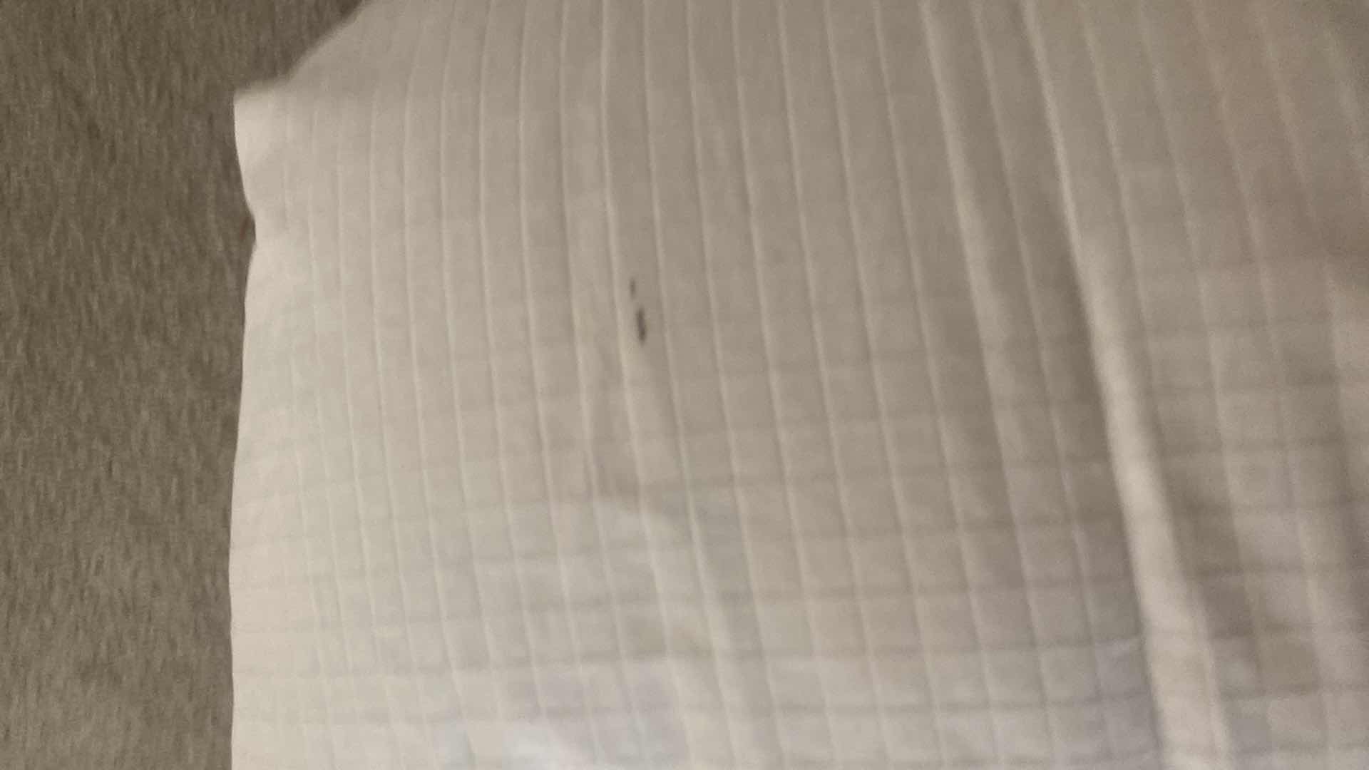 Photo 1 of RALPH LAUREN KING COMFORTER & UNKNOWN BRAND BED SHEETS