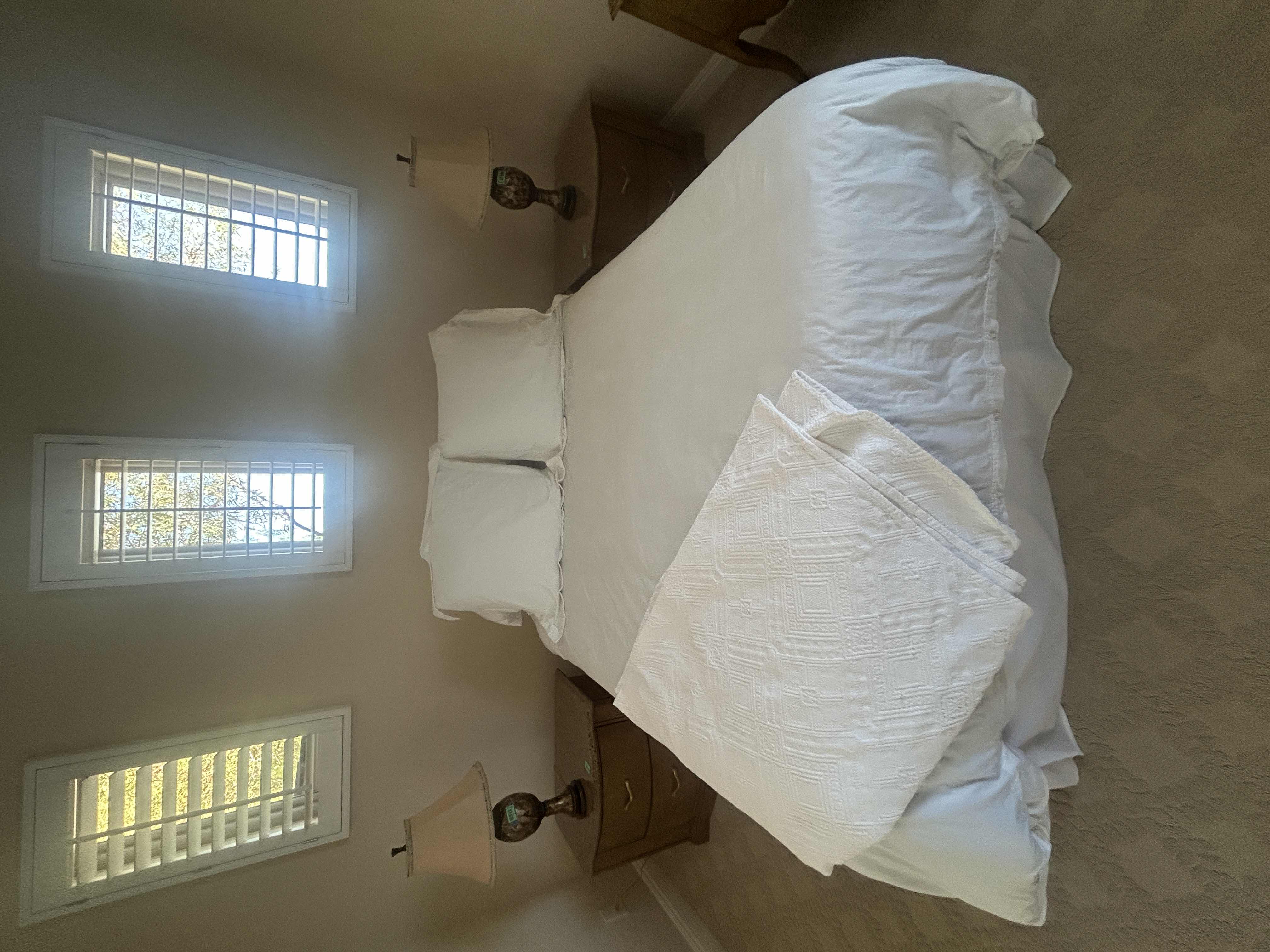 Photo 1 of FULL/QUEEN BEDDING AND PILLOWS