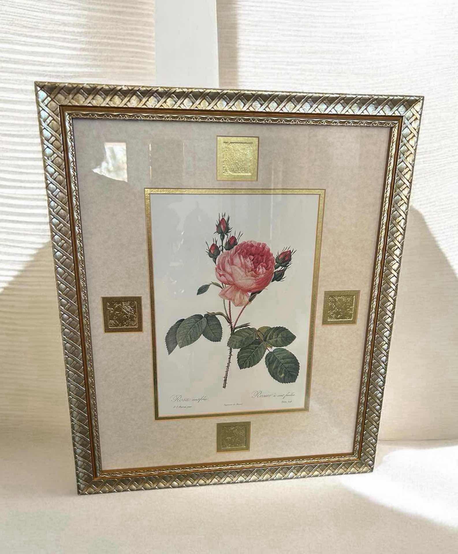 Photo 1 of FRAMED VINTAGE BOTANICAL PRINT 18th CENTURY PINK ROSE 18" X 24"