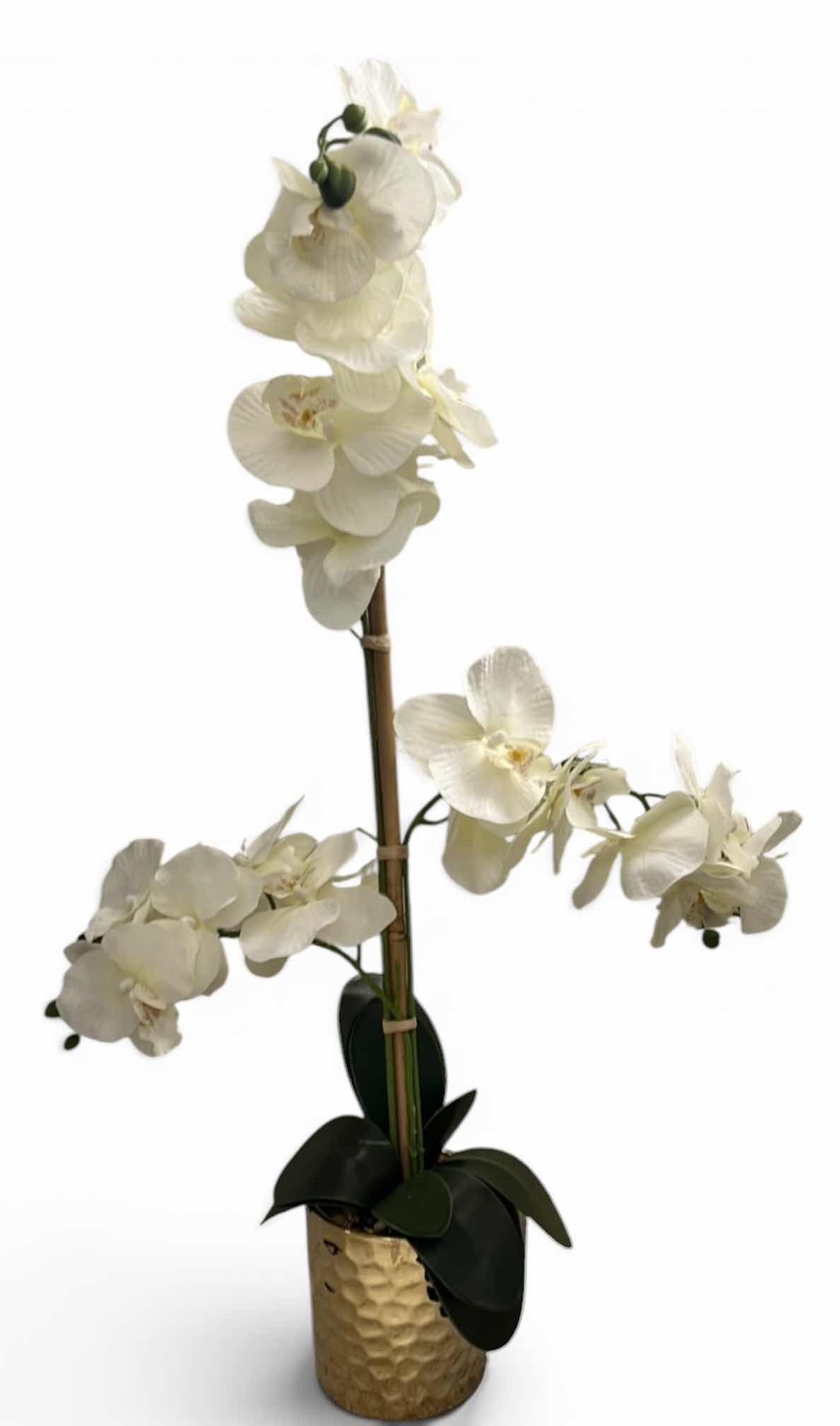 Photo 1 of ARTIFICIAL PHALAENOPSIS ORCHID ARRANGEMENT FEATURES WHITE SILK BLOOMS HOUSED IN A TEXTURED, METALLIC GOLD POT. H31”