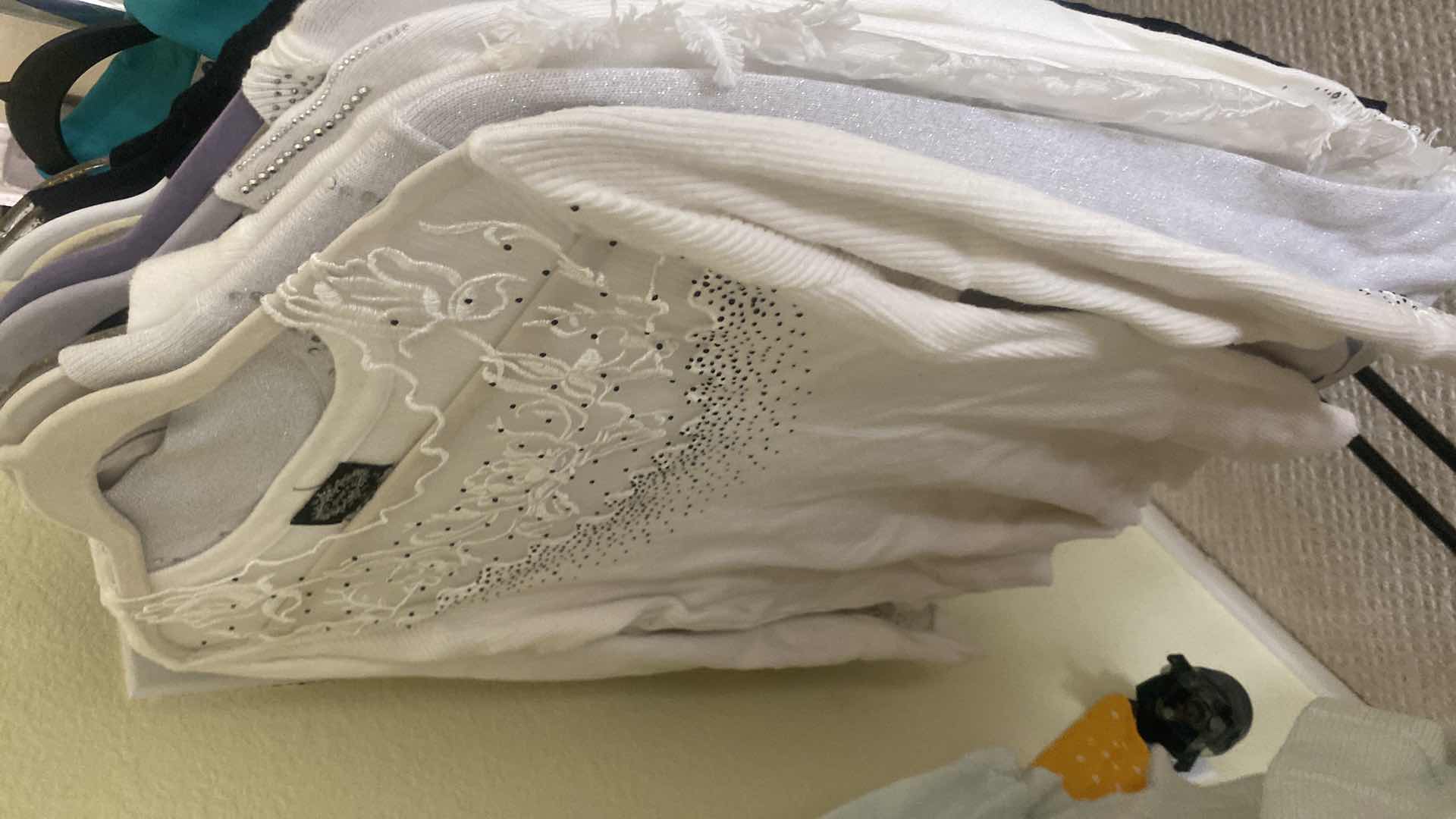 Photo 1 of 20-WOMENS TOPS SIZE LARGE & PETITE LARGE
