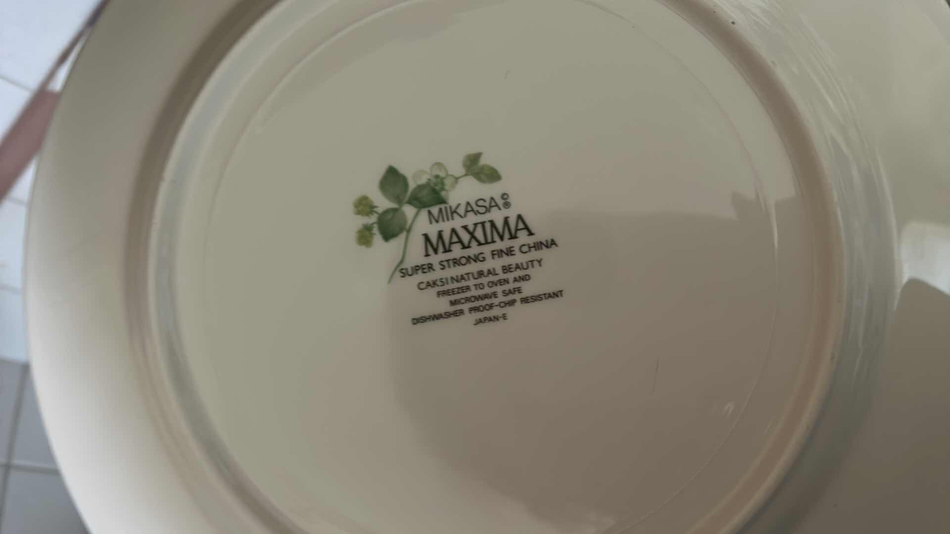 Photo 1 of 10 PC DINNER WARE AND 4 NAPKINS