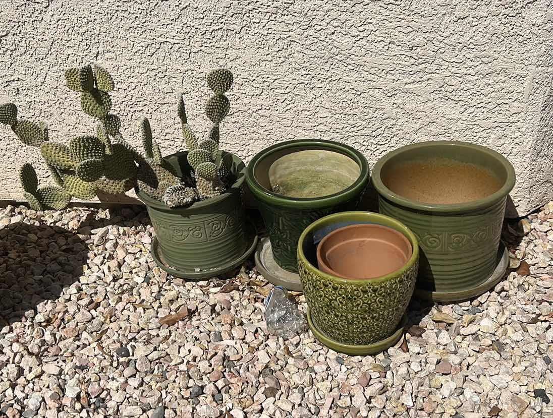 Photo 1 of OUTDOOR POTS AND LIVE CACTUS (TALLEST POT H11.5”)