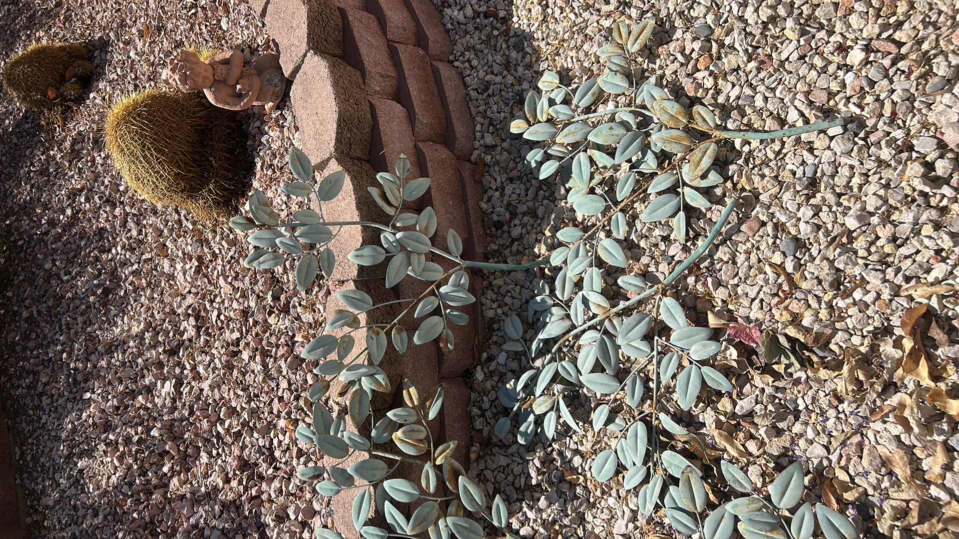 Photo 1 of METAL OUTDOOR DECOR