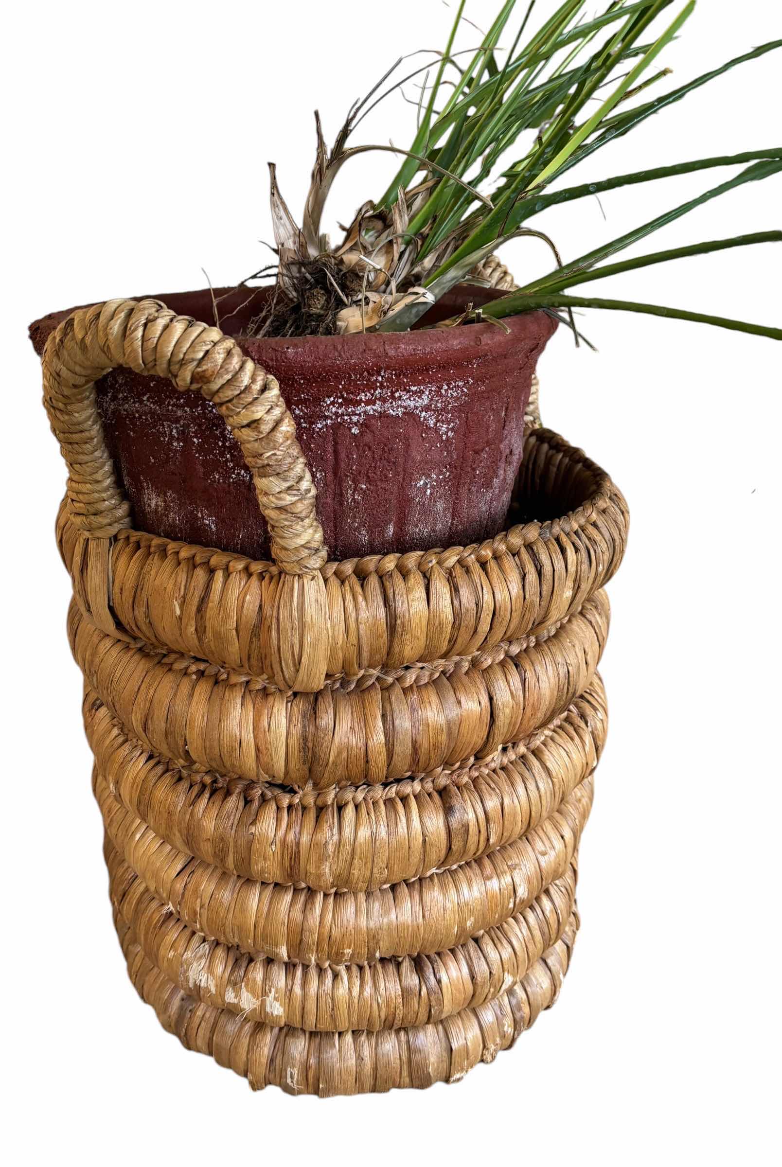 Photo 1 of INDOOR PALM PLANT IN BASKET H47”