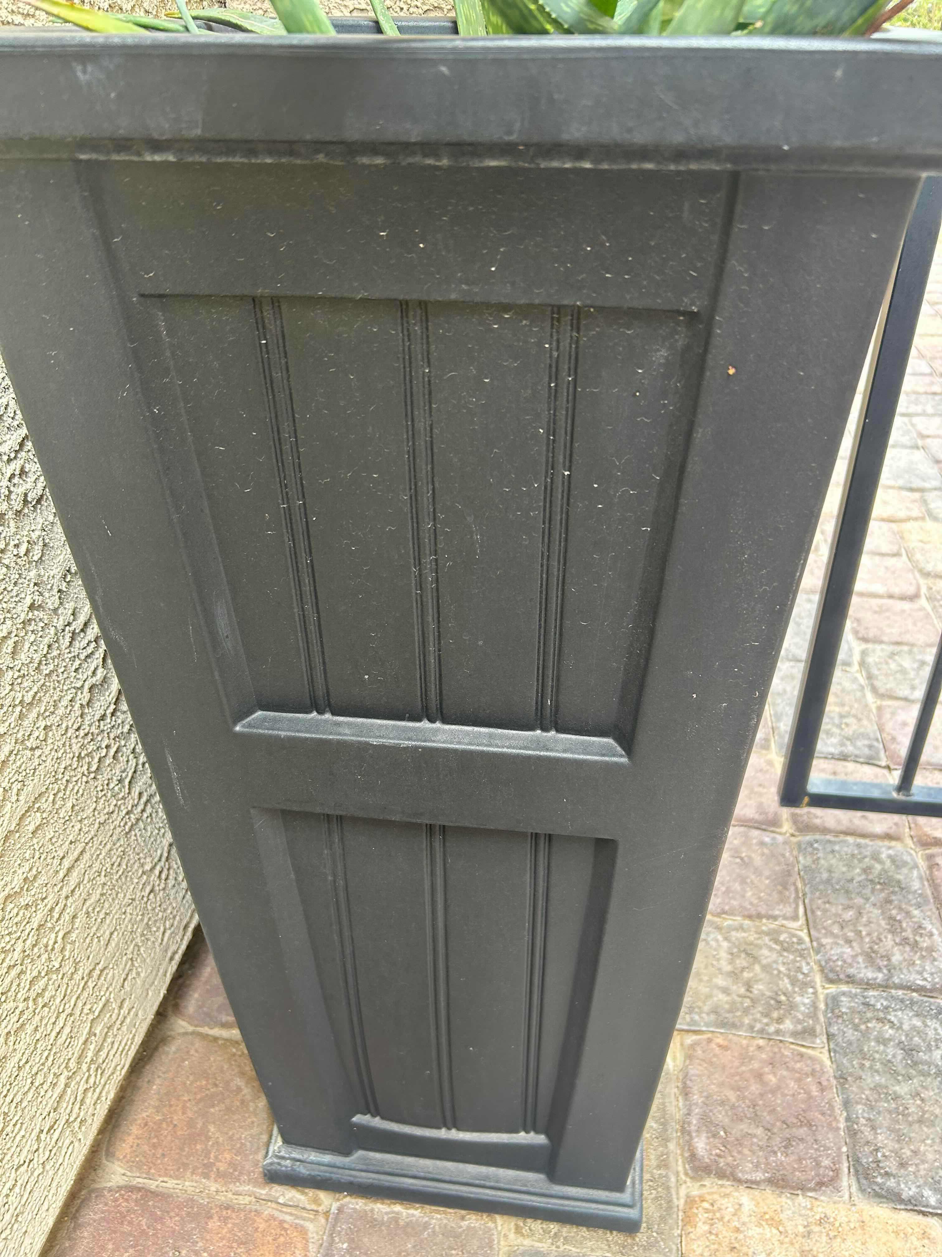 Photo 1 of LIVE ALOE VERA PLANT IN  POLYETHYLENE PLANTER H 31"