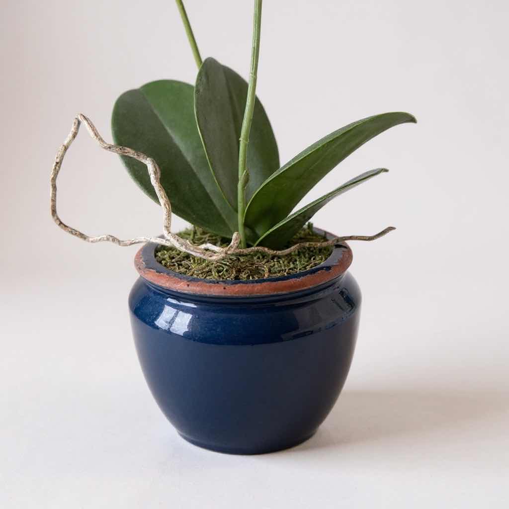 Photo 1 of 3-FAUX ORCHIDS IN BLUE CERAMIC POTS D4” H17”