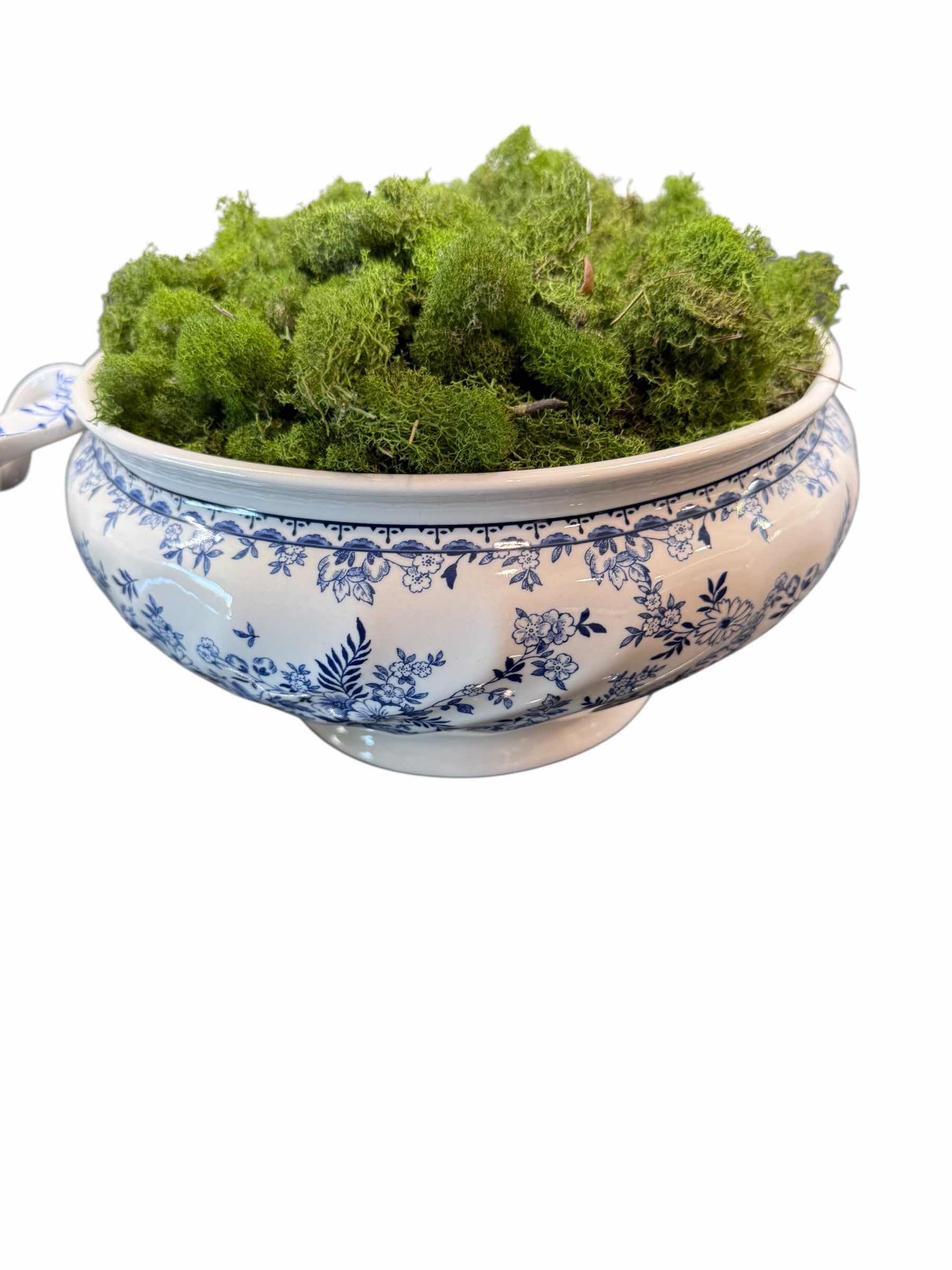 Photo 1 of BLUE & WHITE SOUP TUREEN, BOWL W GREEN MOSS