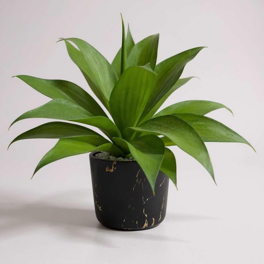 Photo 1 of FAUX AGAVE PLANT IN DECORATIVE CONTAINER H 15"