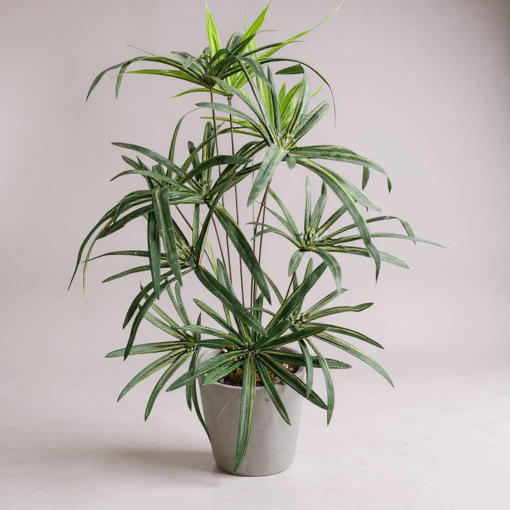 Photo 1 of FAUX UMBRELLA PAPYRUS PLANT IN WHITE CONTAINER H 21"