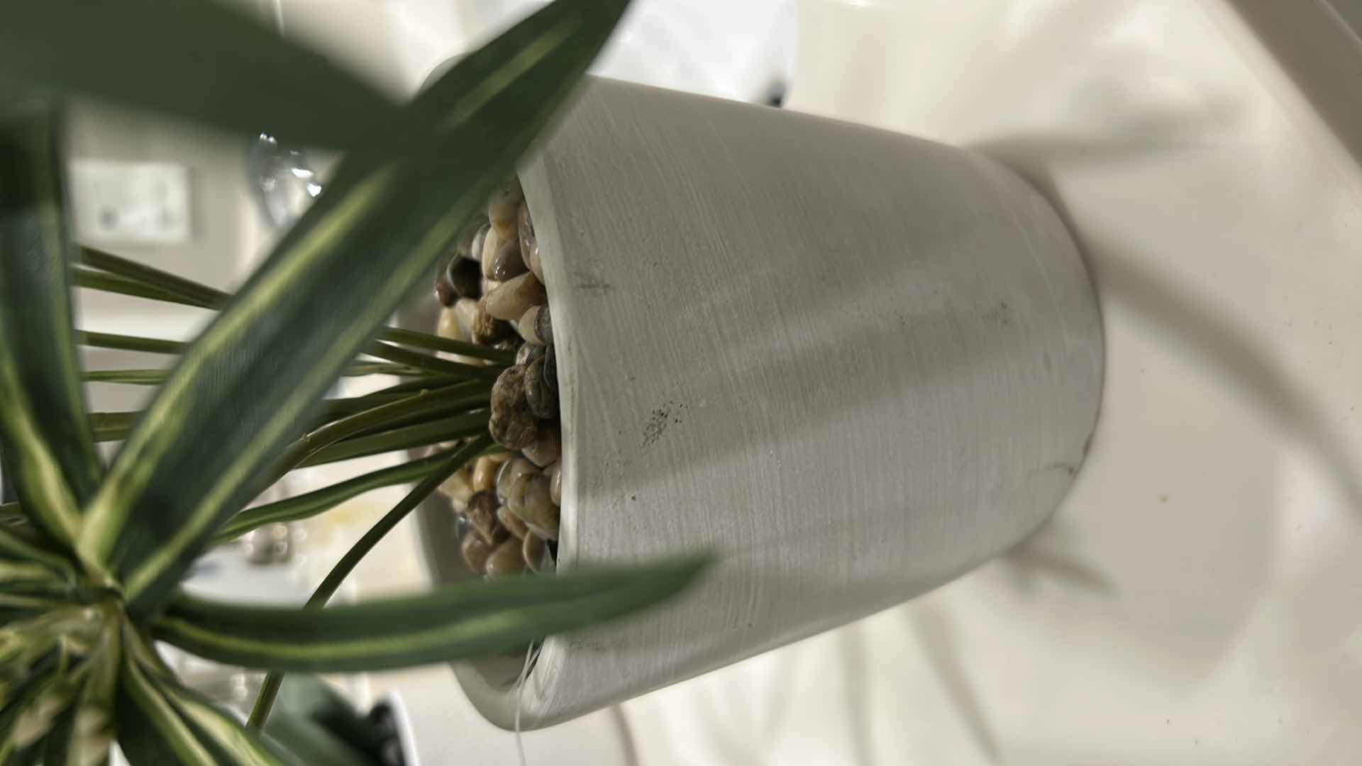 Photo 1 of FAUX UMBRELLA PAPYRUS PLANT IN WHITE CONTAINER H 21"