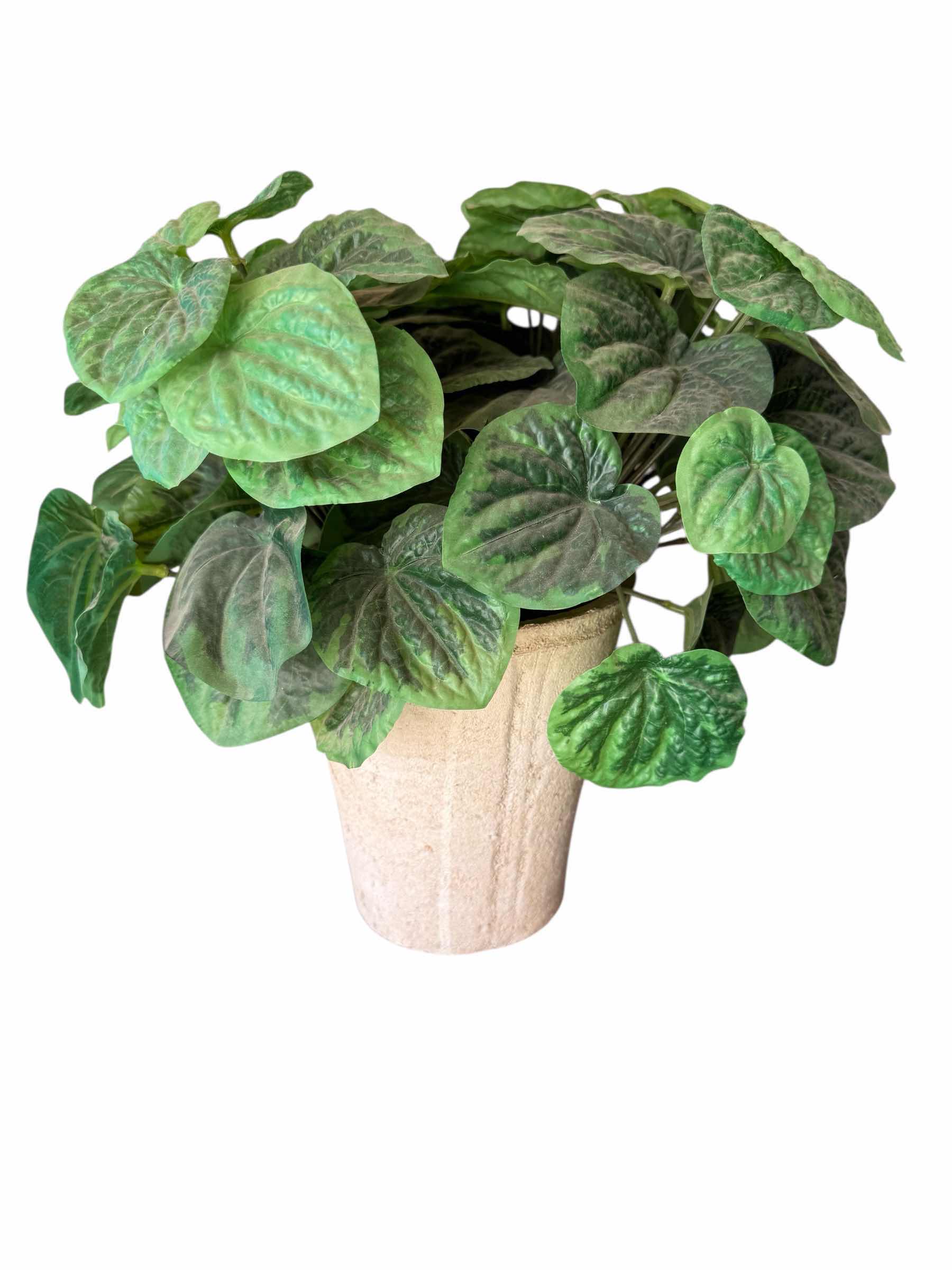 Photo 1 of LANTERN, SPHERE W ARROW, FAUX POTTED PLANT