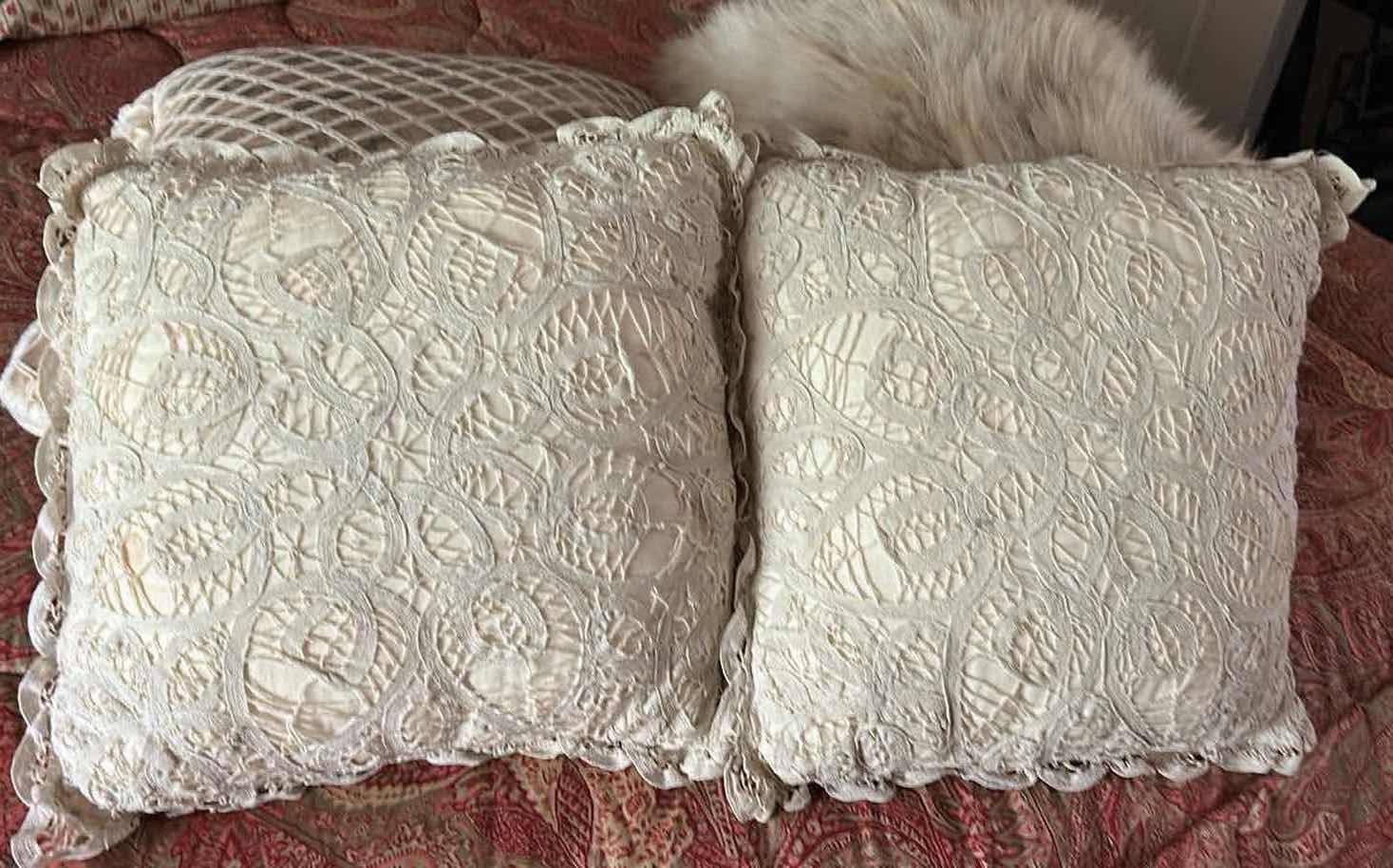 Photo 1 of 4- DECORATIVE PILLOWS FURRY LACE