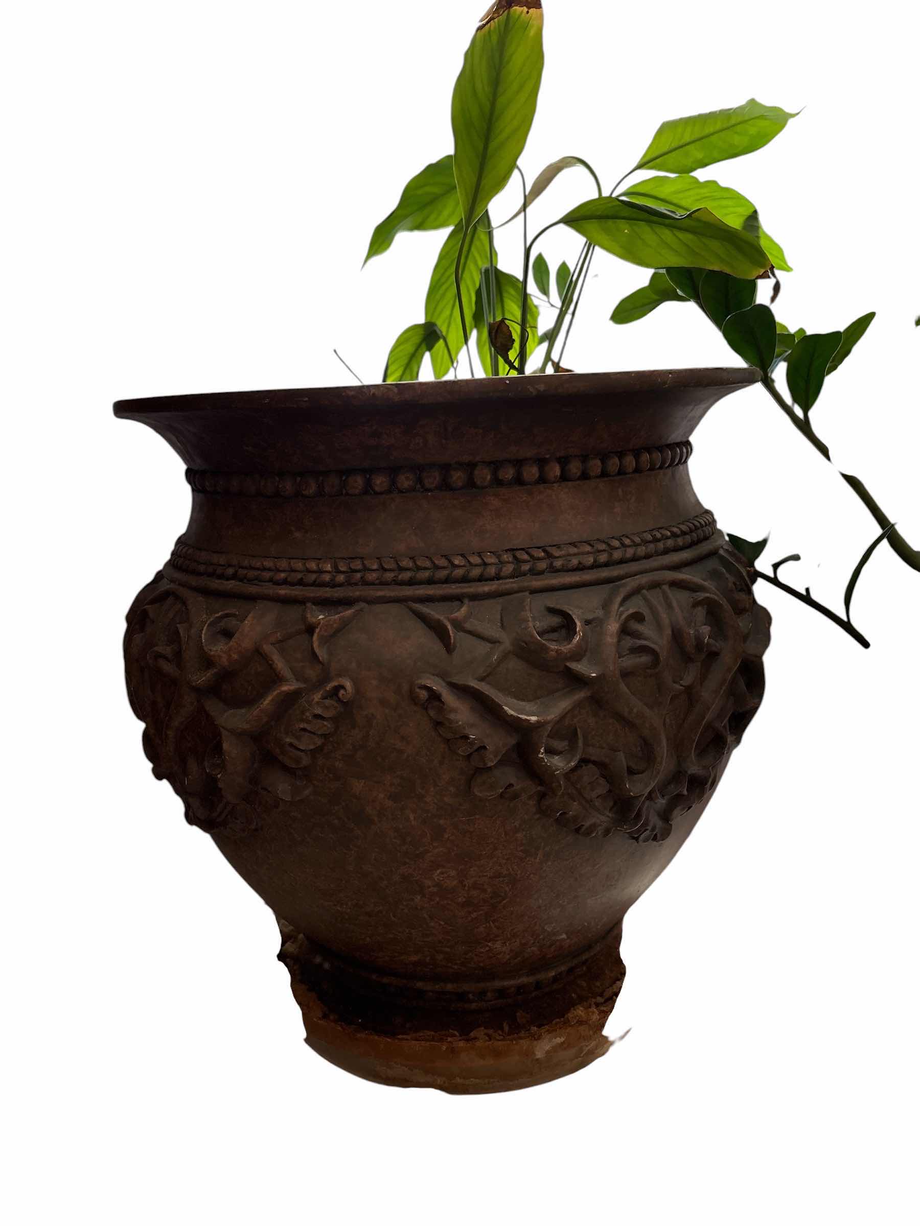 Photo 1 of (2)PCS LIVE PLANTS IN STONE PLANTER H17”
