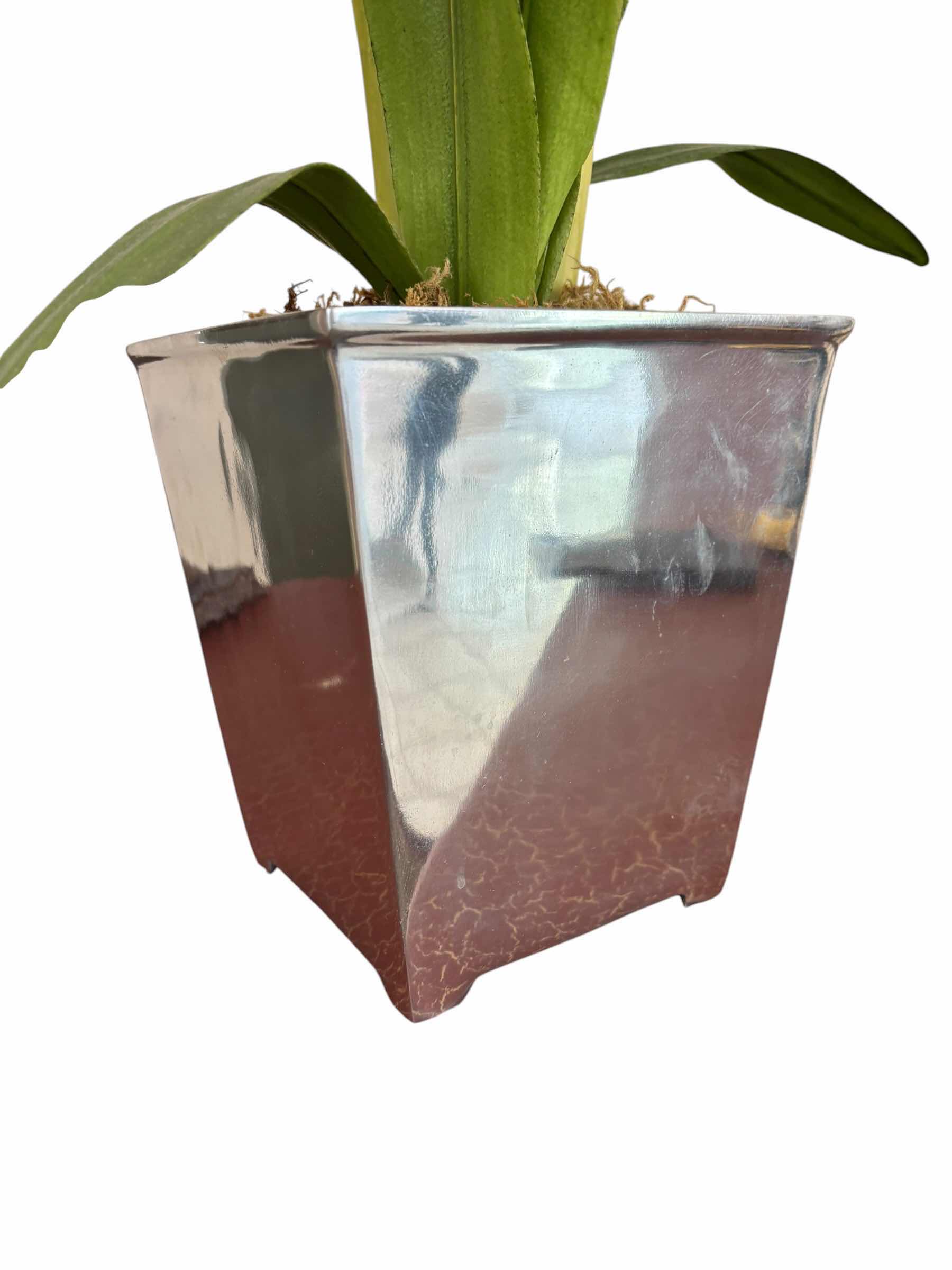 Photo 1 of ARTIFICIAL AMARYLLIS PLANT H31”