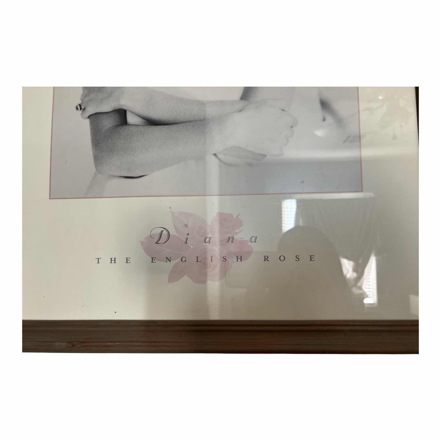 Photo 1 of FRAMED VINTAGE ARTWORK PRINCESS DIANA “THE ENGISH ROSE” IN WOOD FRAME 20”X26”