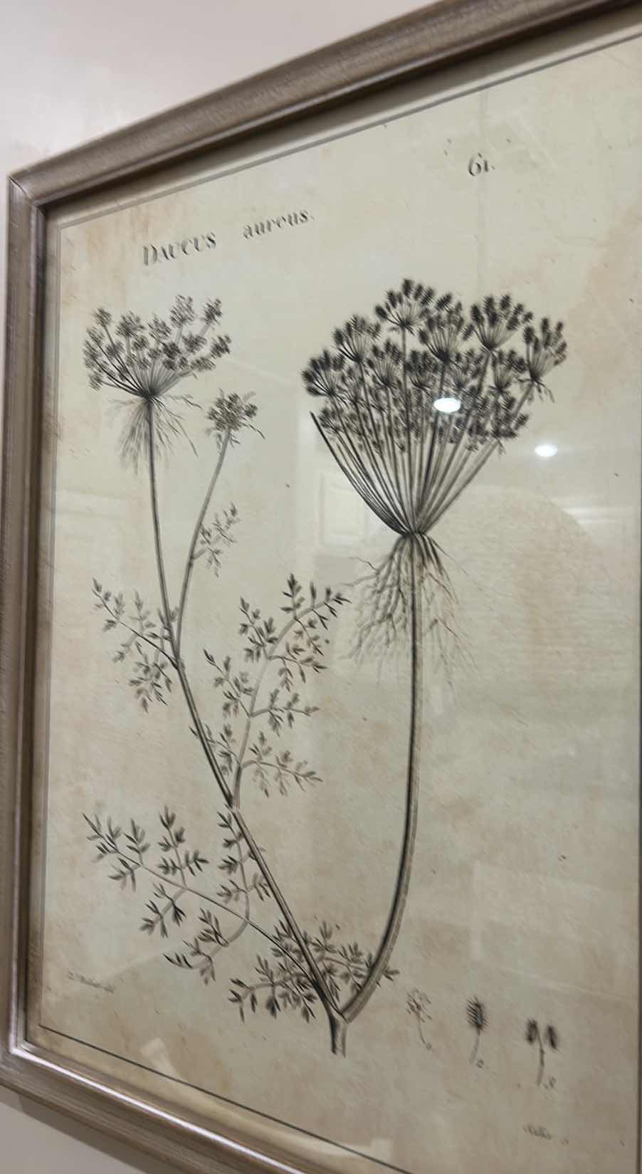 Photo 1 of 2 WOOD FRAMED BOTANICAL ARTWORK PIECES17 1/2” X H23 1/2”