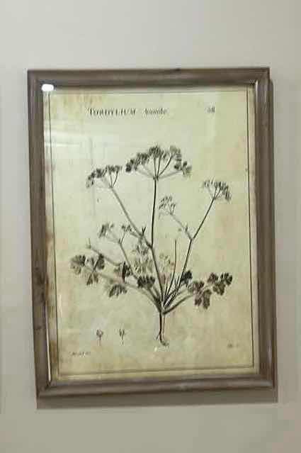 Photo 1 of 2 WOOD FRAMED BOTANICAL ARTWORK PIECES17 1/2” X H23 1/2”