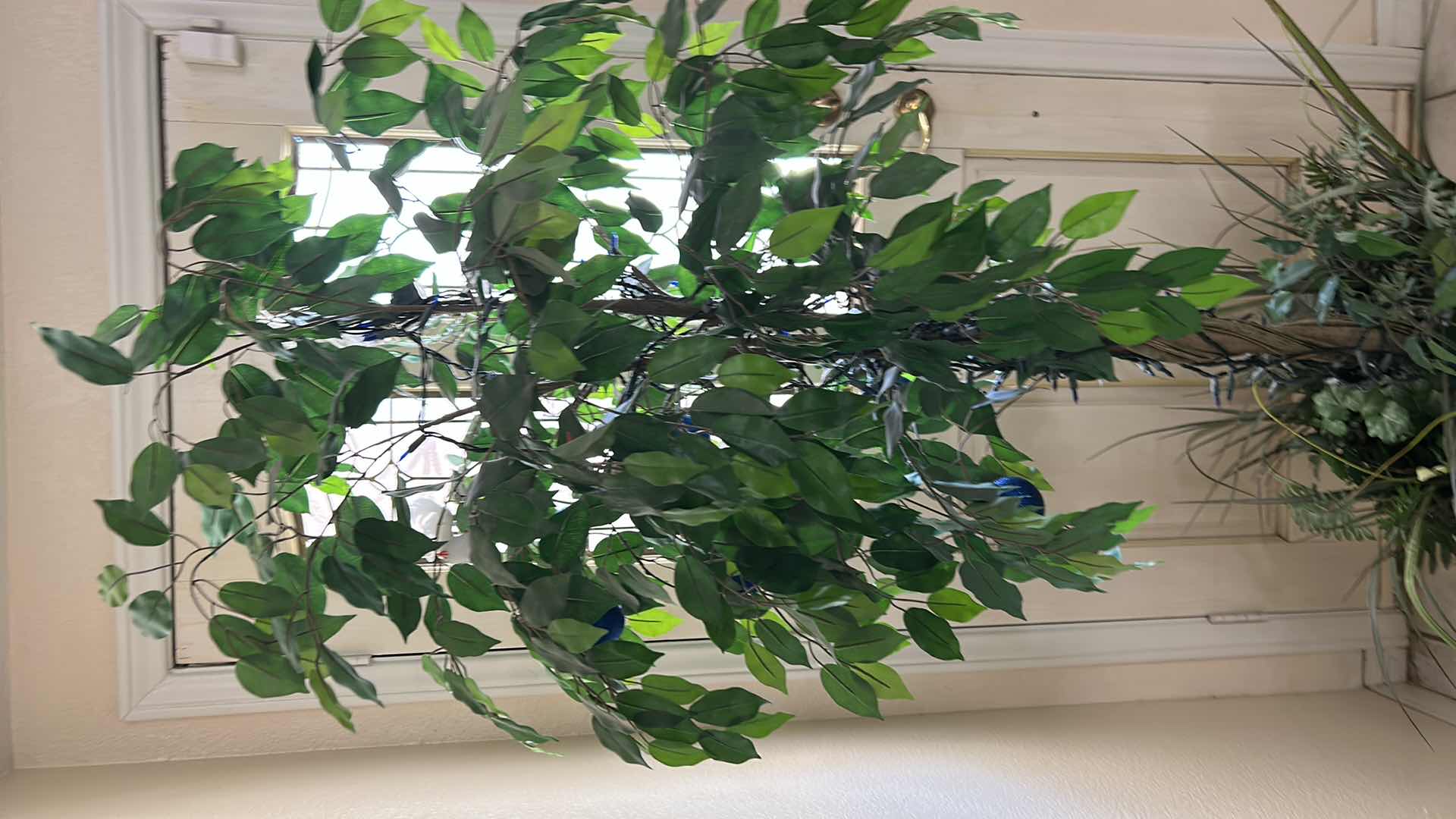Photo 1 of ARTIFICIAL FICUS TREE IN A WHITE CERAMIC POT H6’