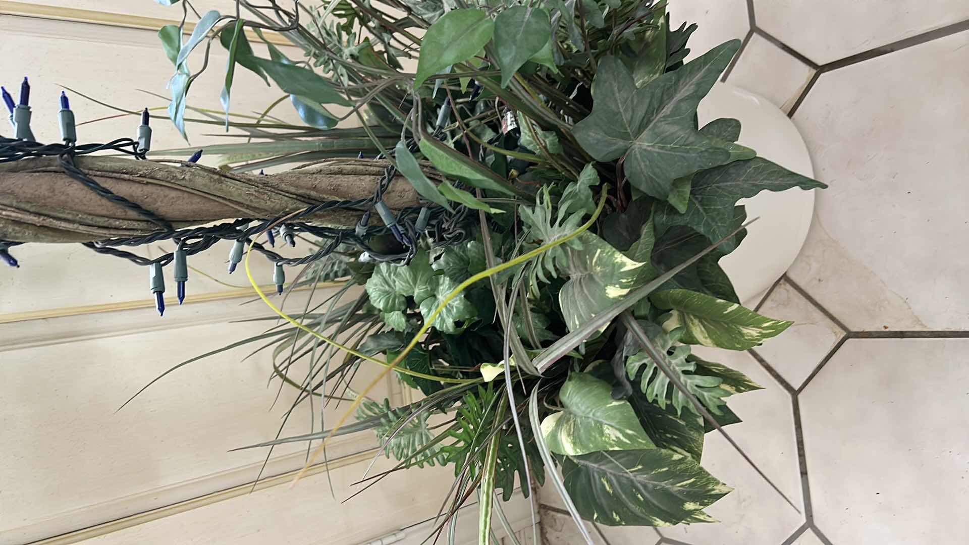 Photo 1 of ARTIFICIAL FICUS TREE IN A WHITE CERAMIC POT H6’