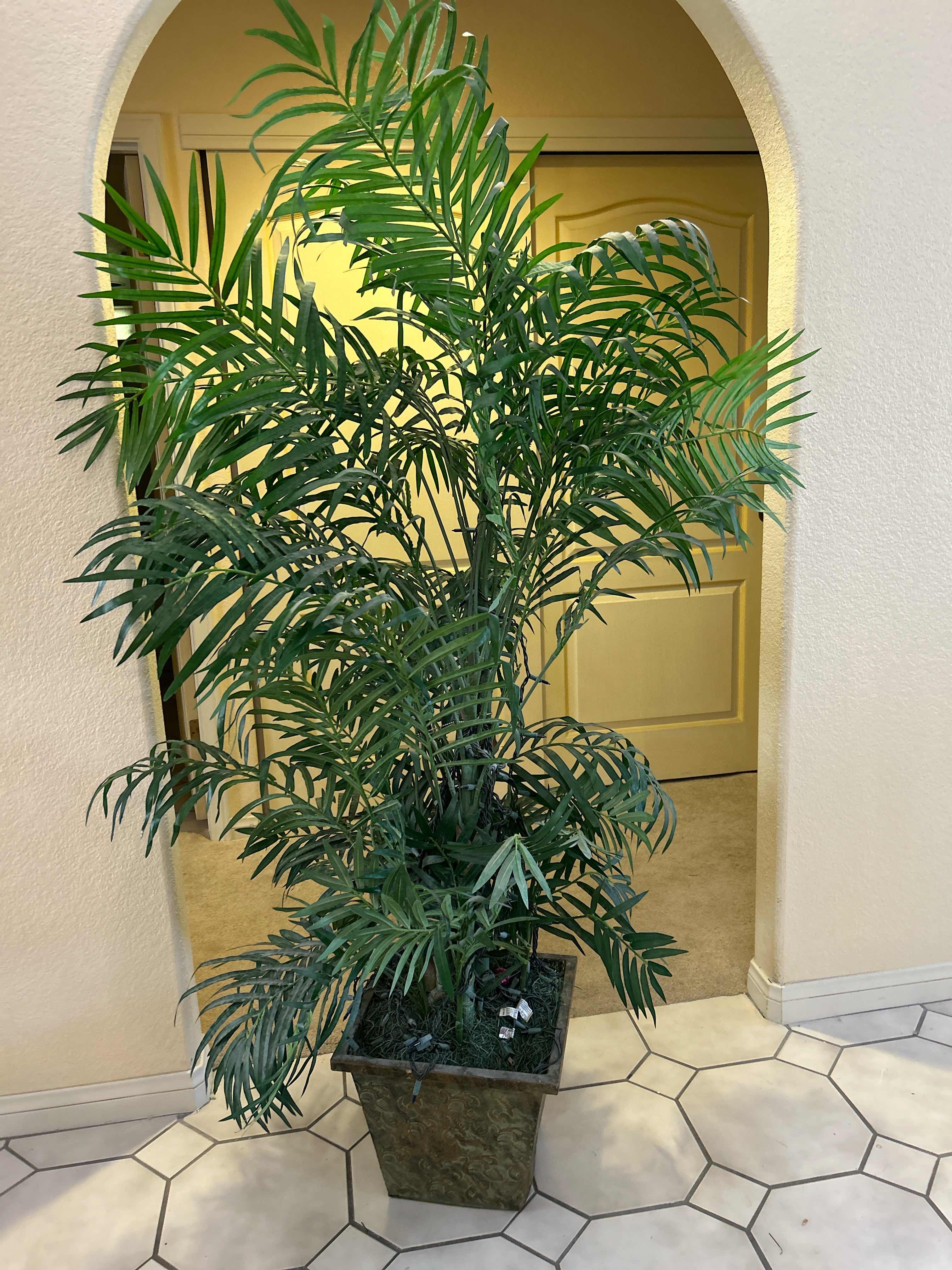 Photo 1 of ARTIFICIAL PALM TREE H6’