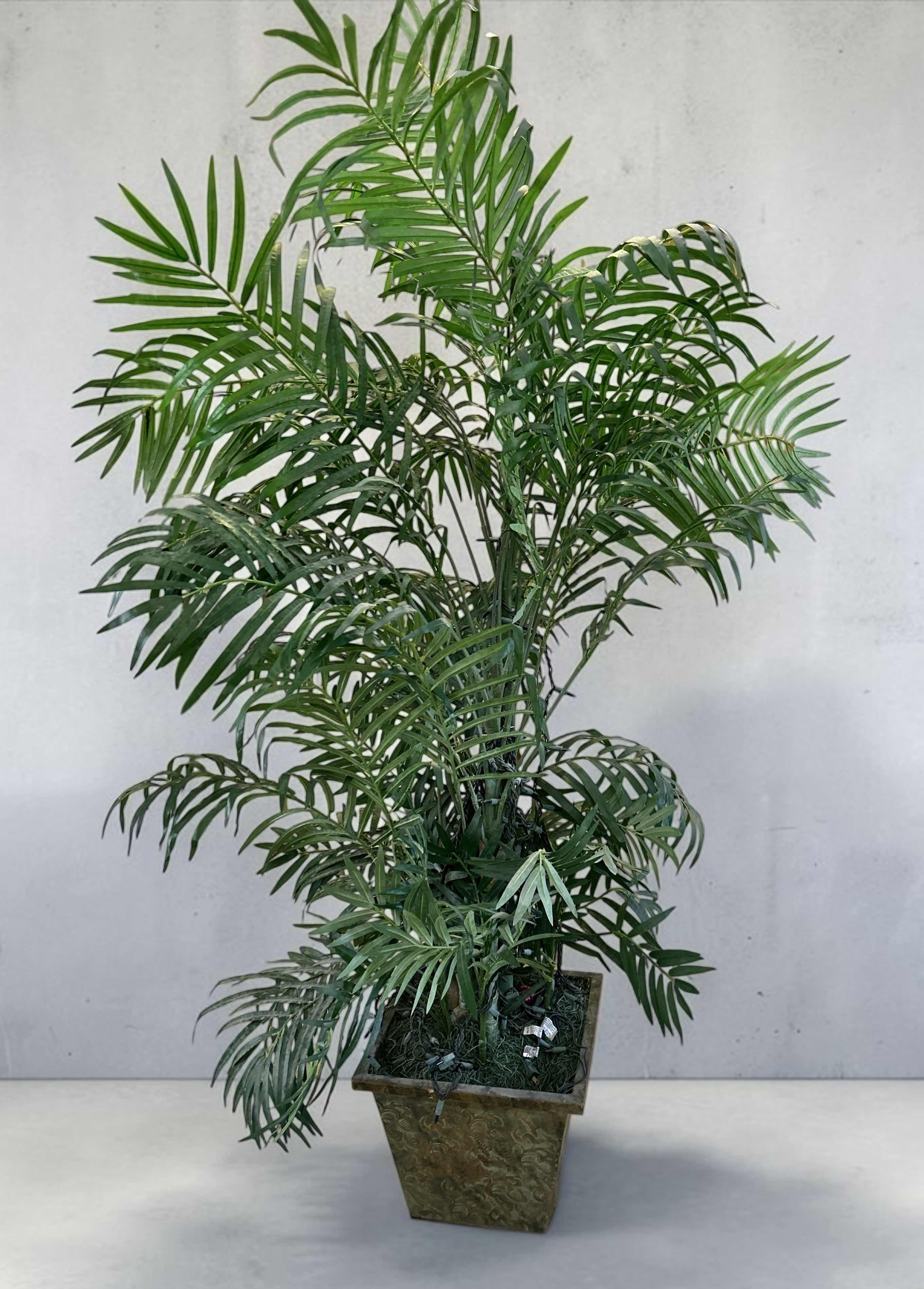 Photo 1 of ARTIFICIAL PALM TREE H6’