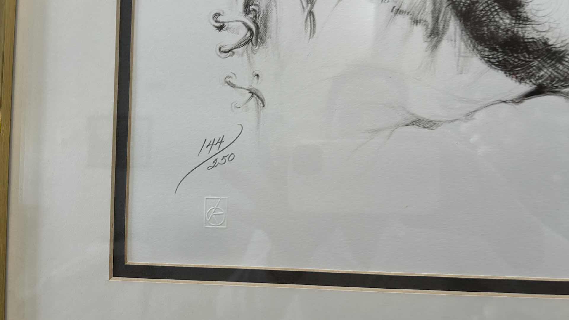 Photo 1 of FRAMED LIMITED EDITION, LITHOGRAPH SIGNED AND NUMBERED BY ARTIST VIRGINIA DAN ARTWORK