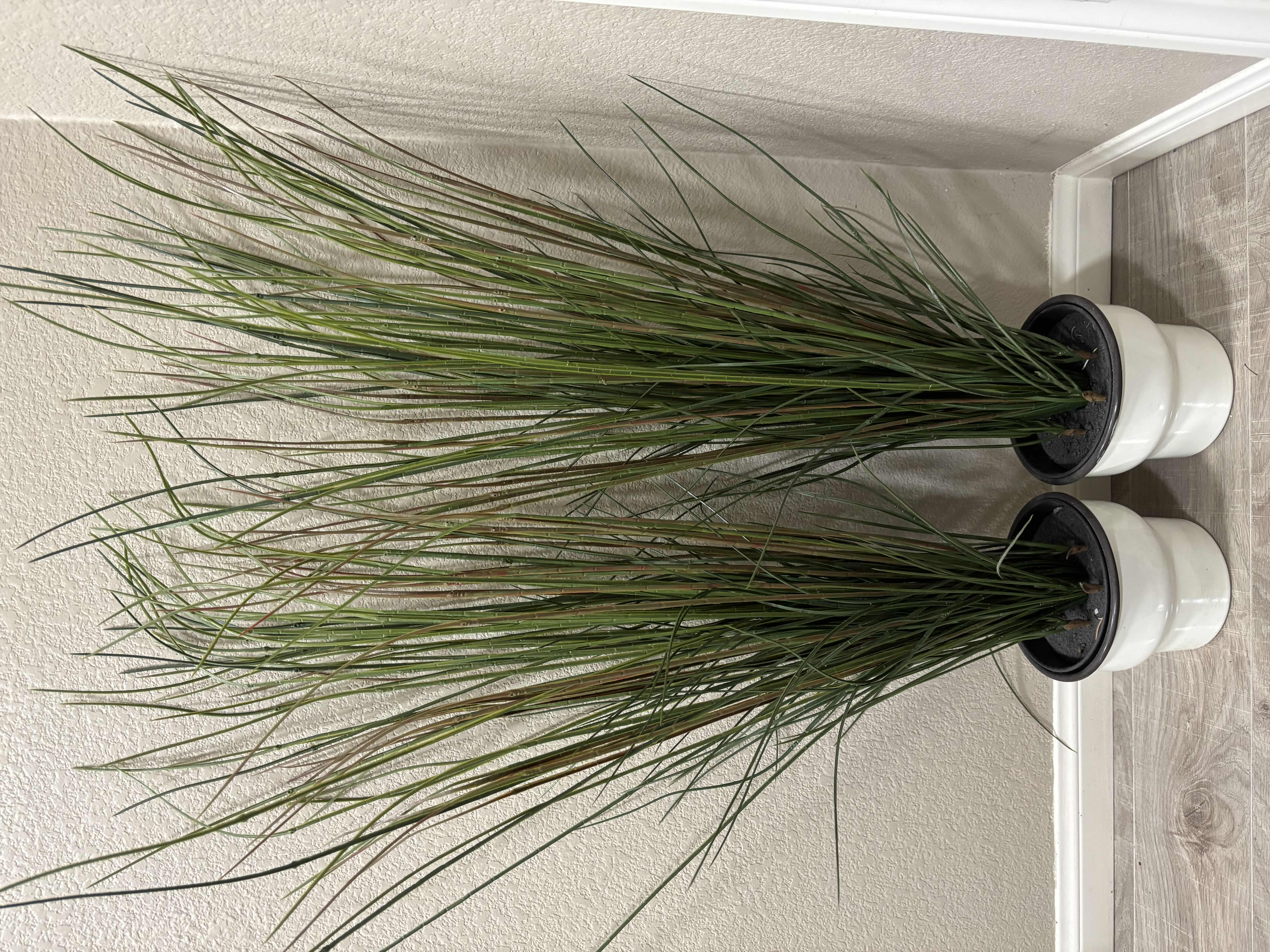 Photo 1 of SET OF TWO ARTIFICIAL PLANTS H42”