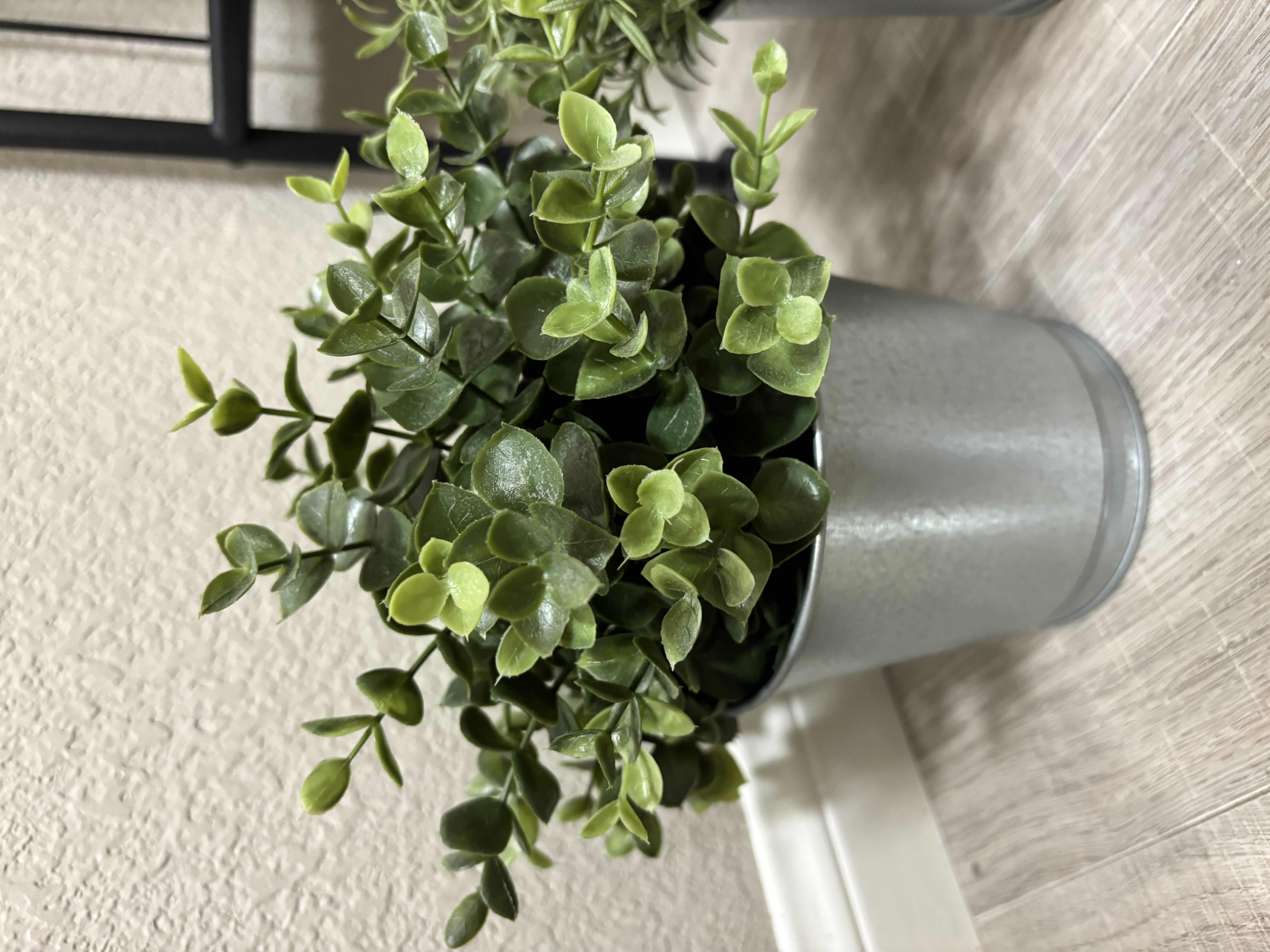 Photo 1 of FIVE ARTIFICIAL PLANTS IN METAL POTS H10”