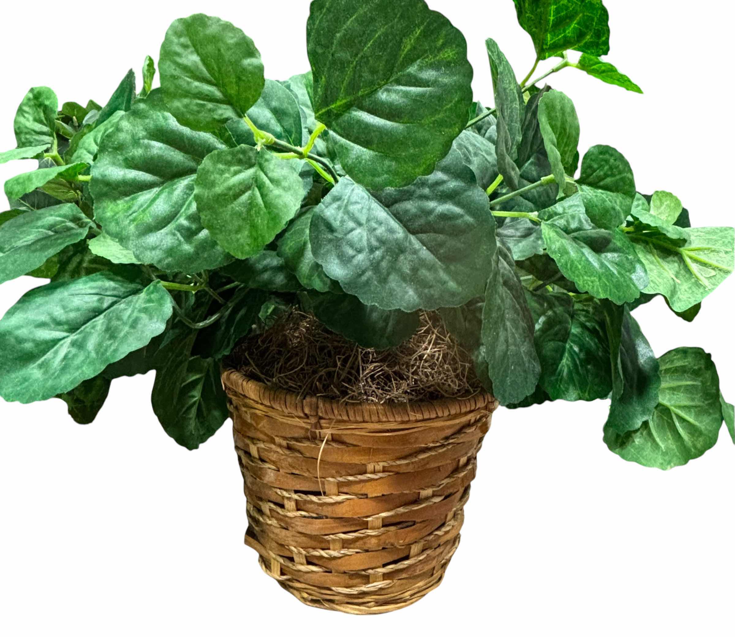 Photo 1 of ARTIFICIAL LEAVES, SOME IN BASKETS & OTHERS IN STYROFOAM