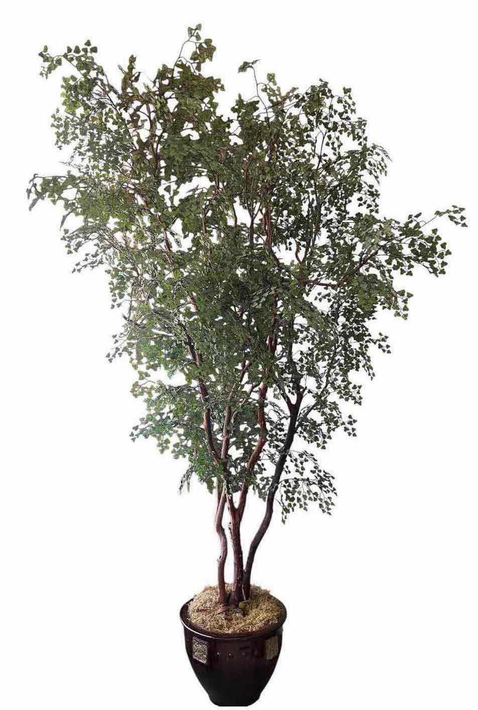 Photo 1 of 8FT SULLIVANS ARTIFICIAL TOWERING LACE FERN TREE IN A BROWN CERAMIC PLANTER