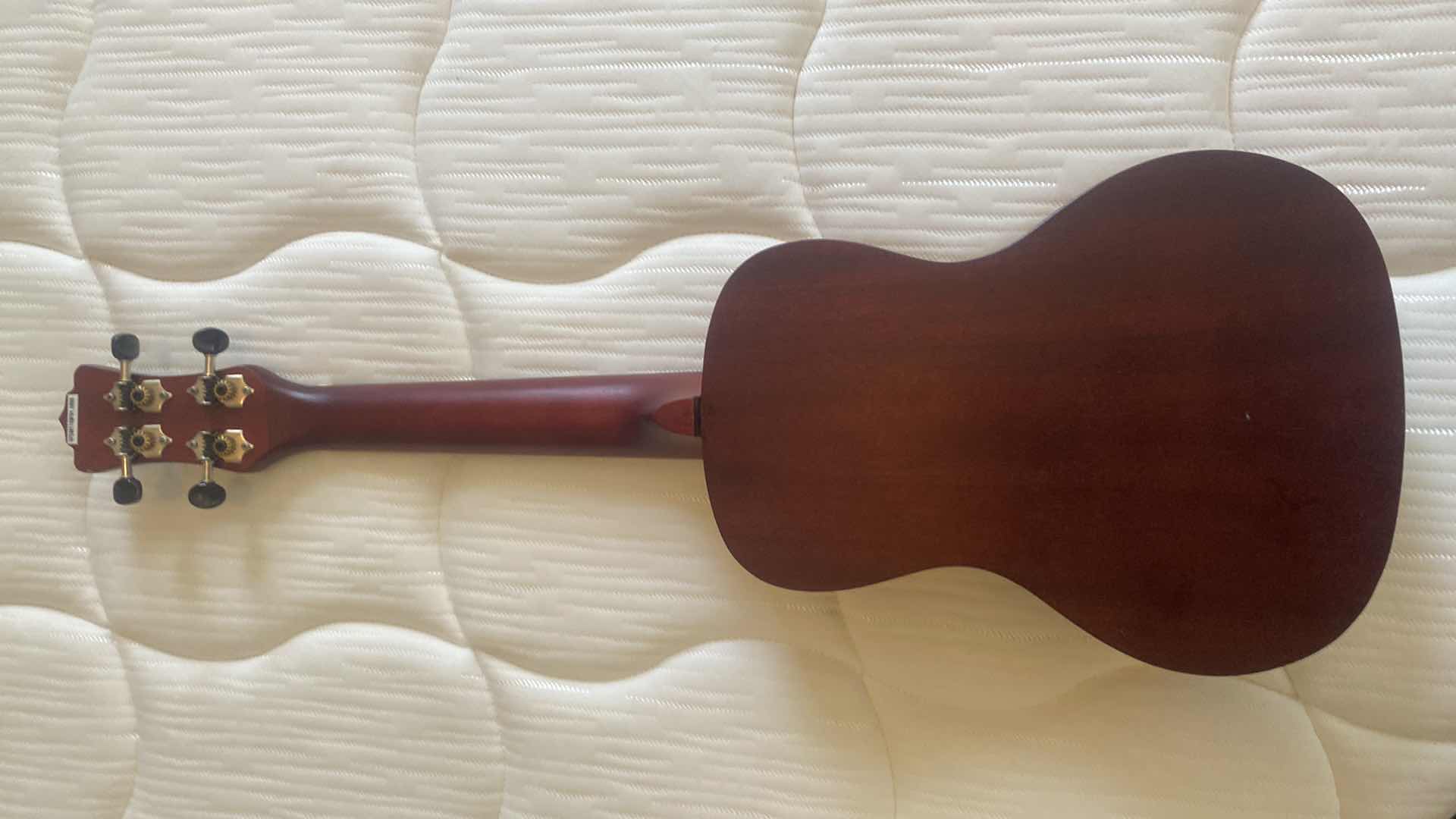 Photo 1 of LUNA WOOD UKULELE