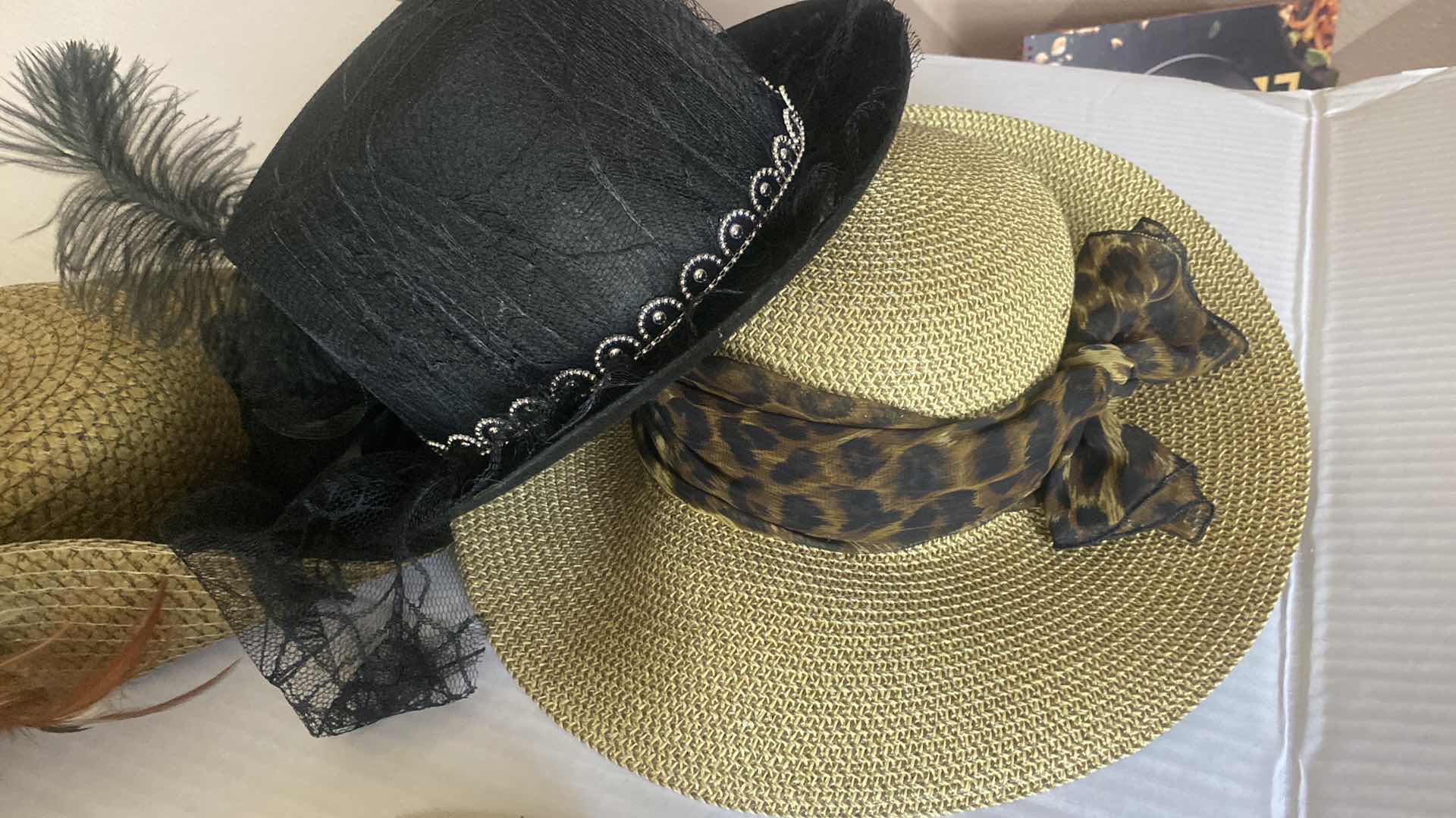Photo 1 of WOMEN’S HATS (7)