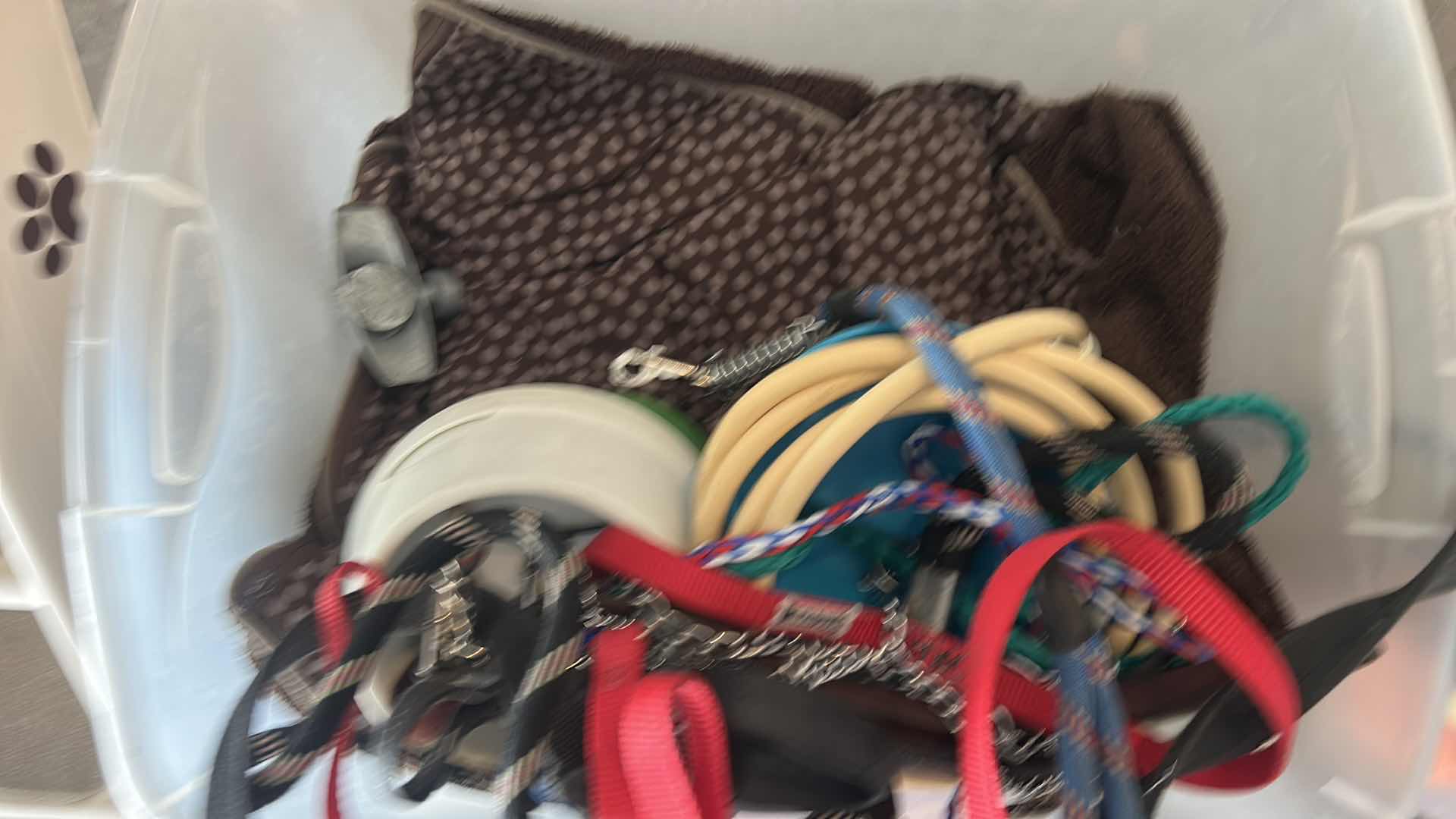 Photo 1 of DOG SUPPLIES