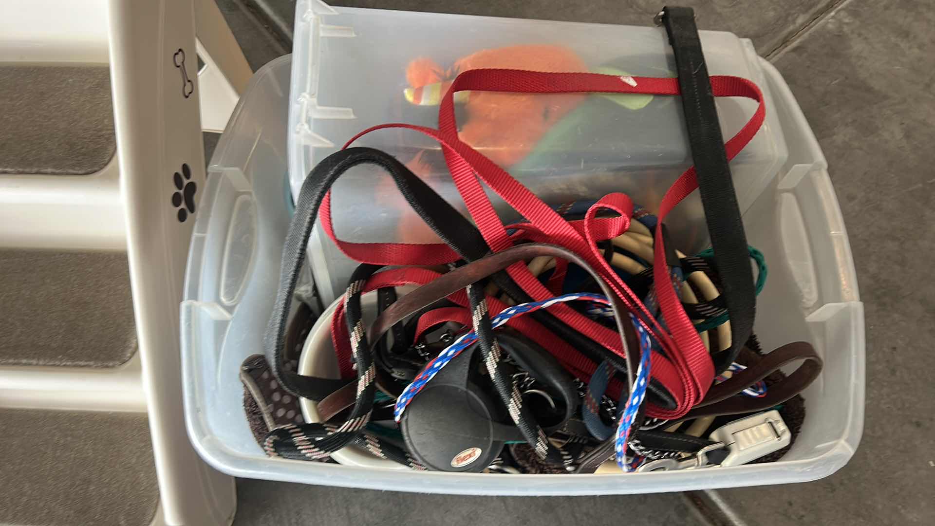 Photo 1 of DOG SUPPLIES