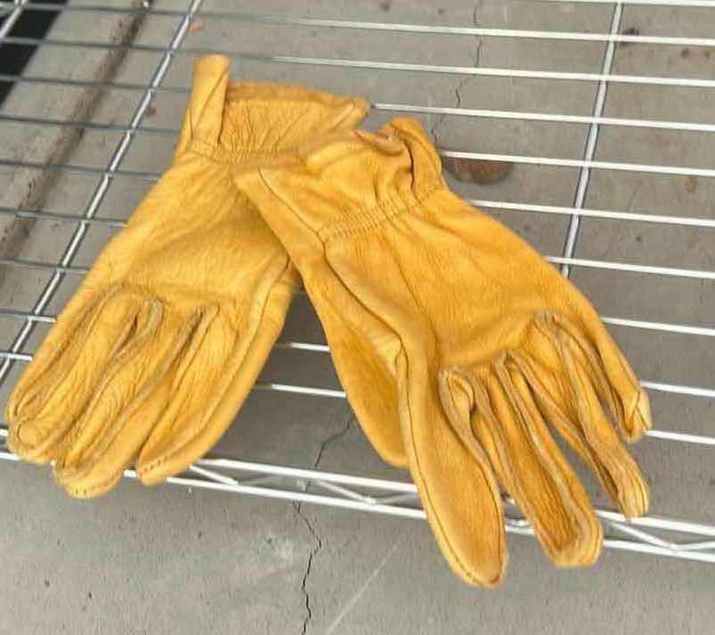 Photo 1 of BASEBALL HATS AND GLOVES