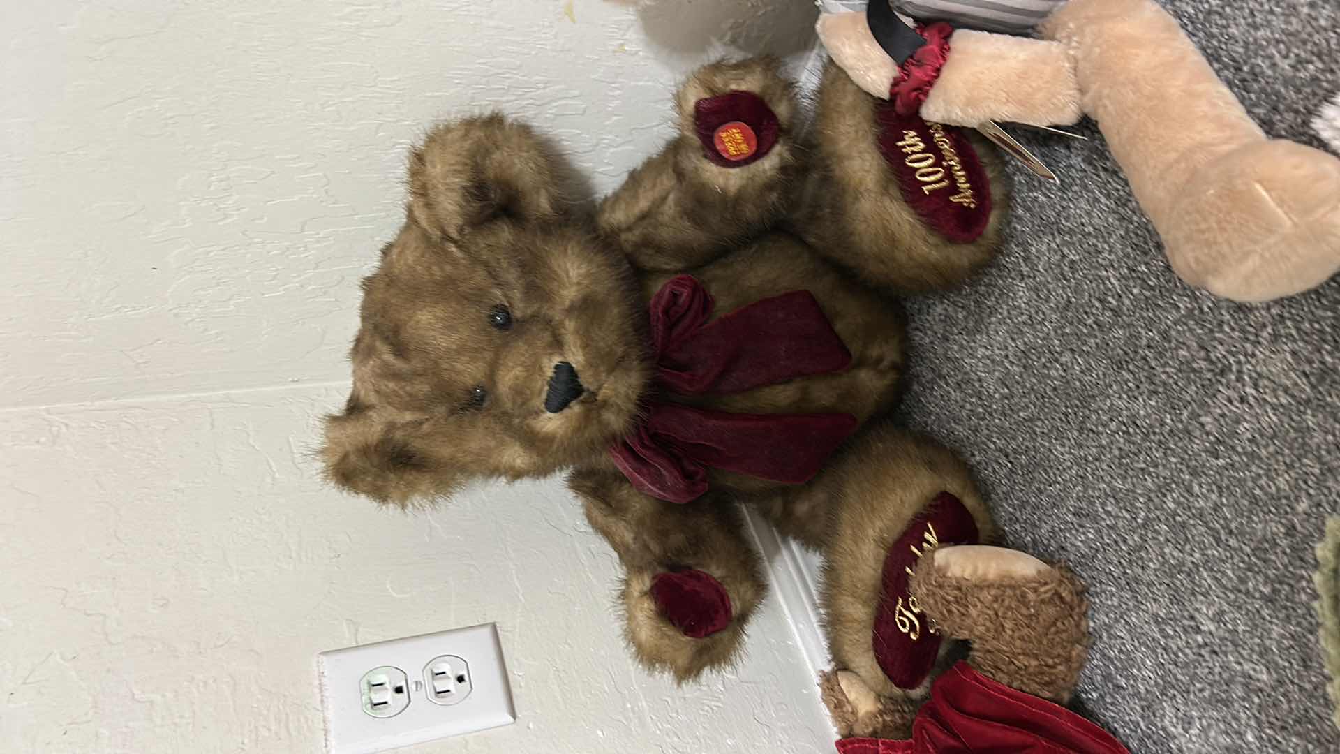 Photo 1 of PLUSH TOYS