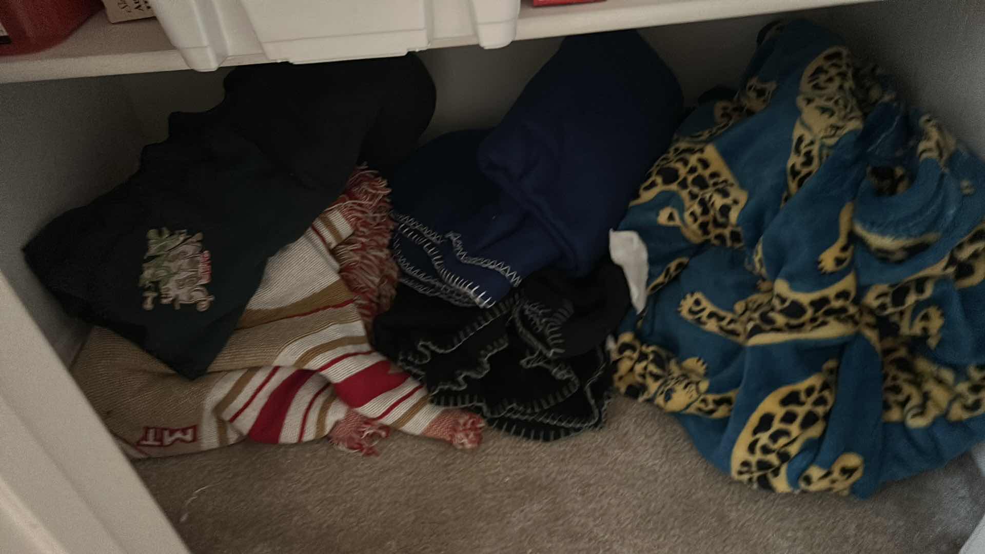 Photo 1 of CONTENTS OF LINEN CLOSET