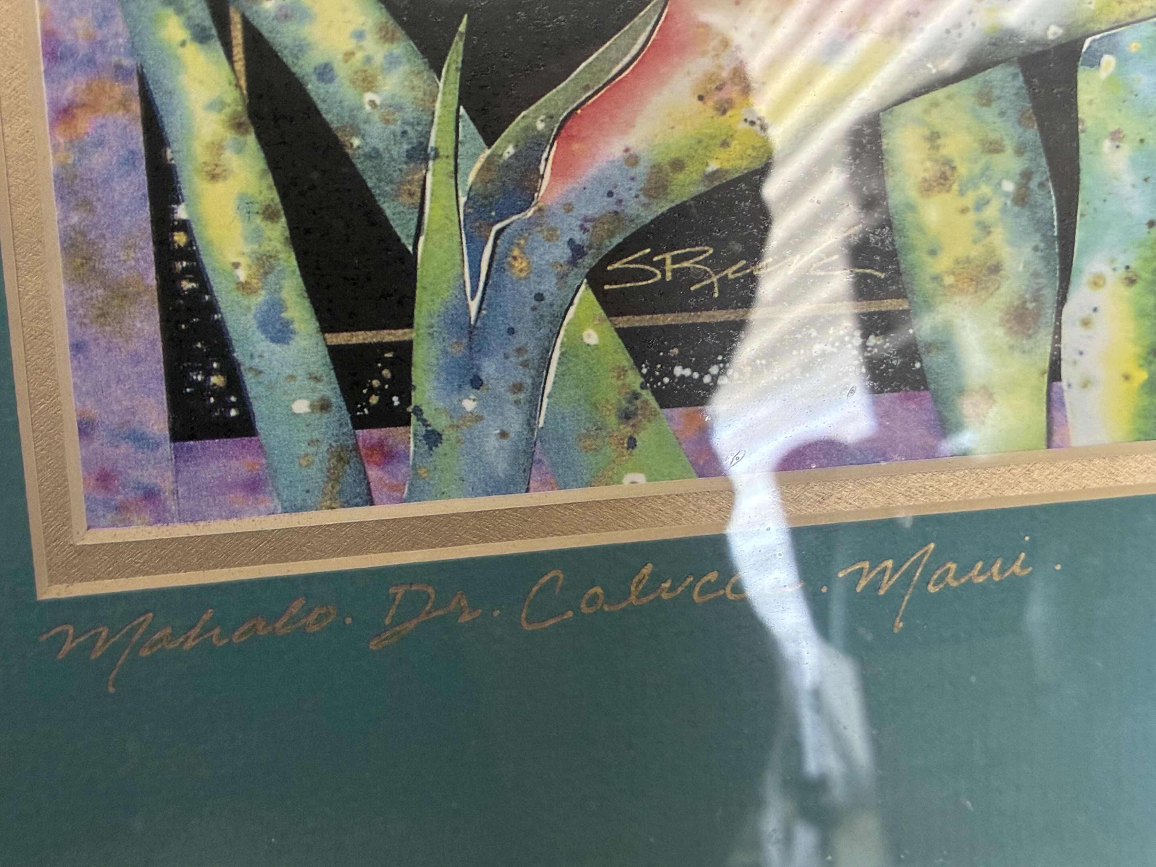 Photo 1 of HAWAII FLOWER SIGNED BY ARTIST FRAMED ARTWORK 23” X 18”