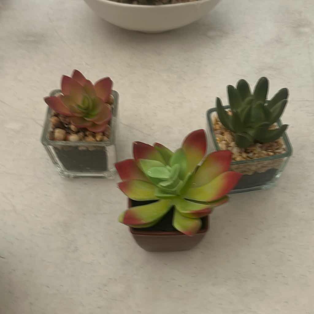 Photo 1 of 4 SMALL FAUX CACTUS PLANTS