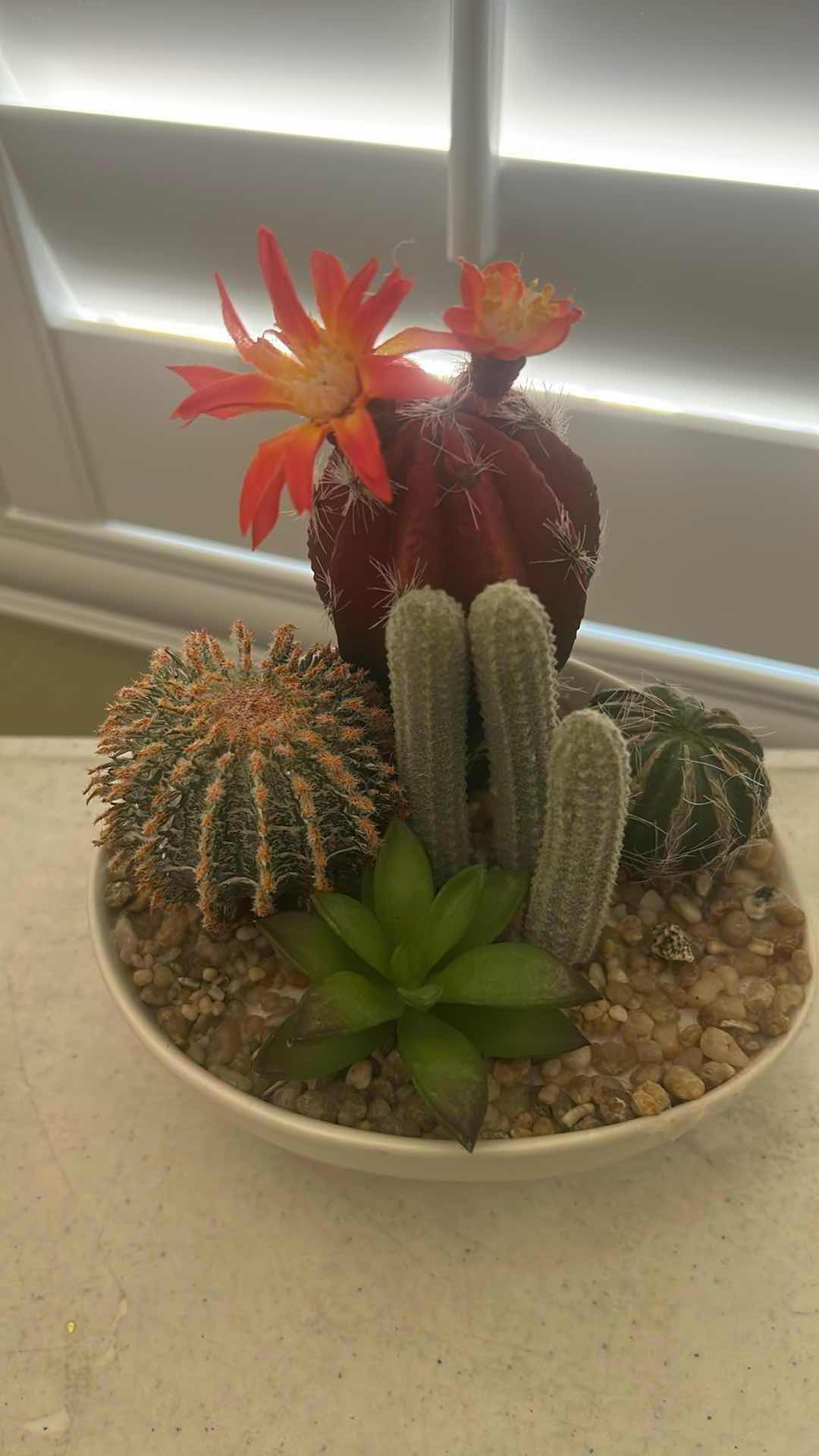 Photo 1 of 4 SMALL FAUX CACTUS PLANTS