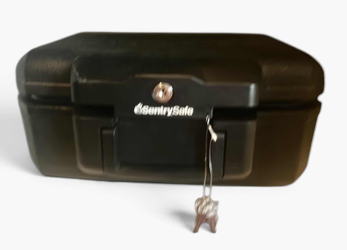 Photo 1 of SENTRY  SAFE