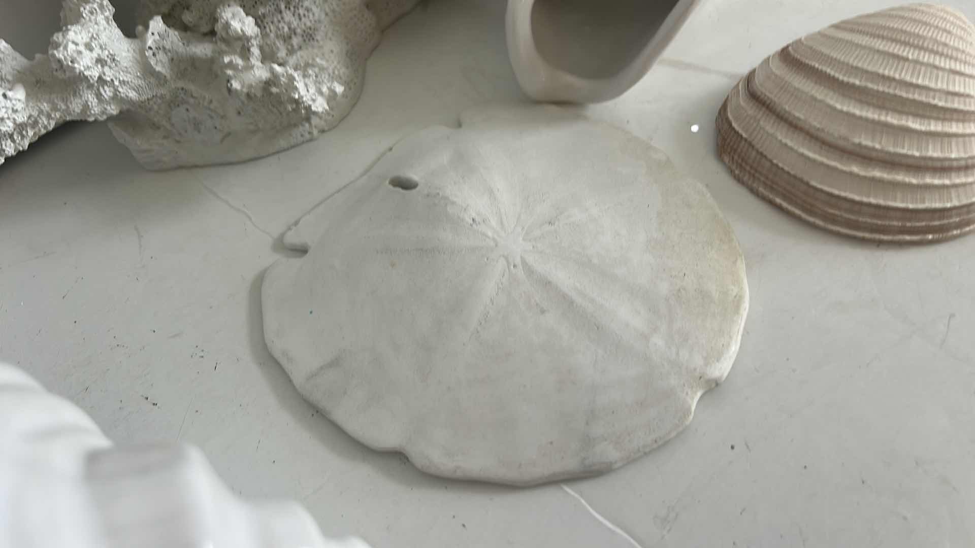 Photo 1 of SHELL & CORAL HOME DECOR (TALLEST H12”)