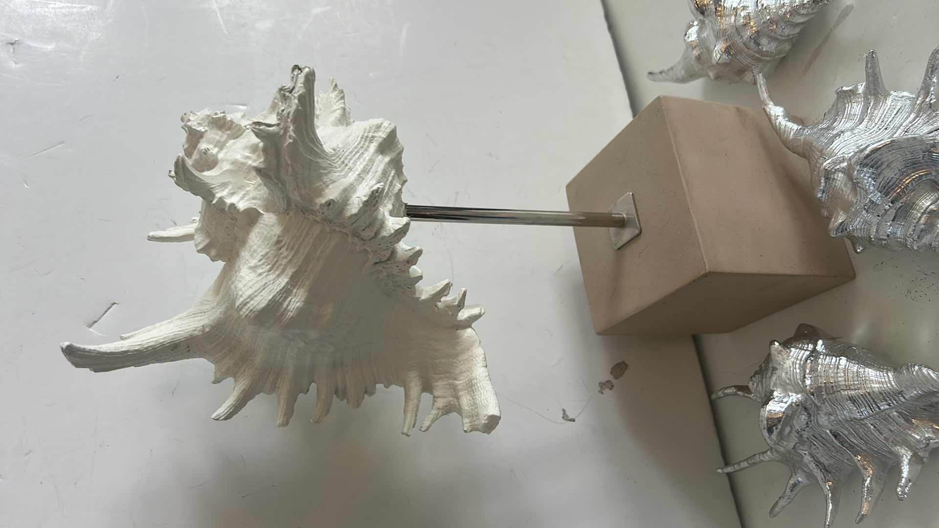 Photo 1 of SHELL HOME DECOR, (TALLEST 15”)