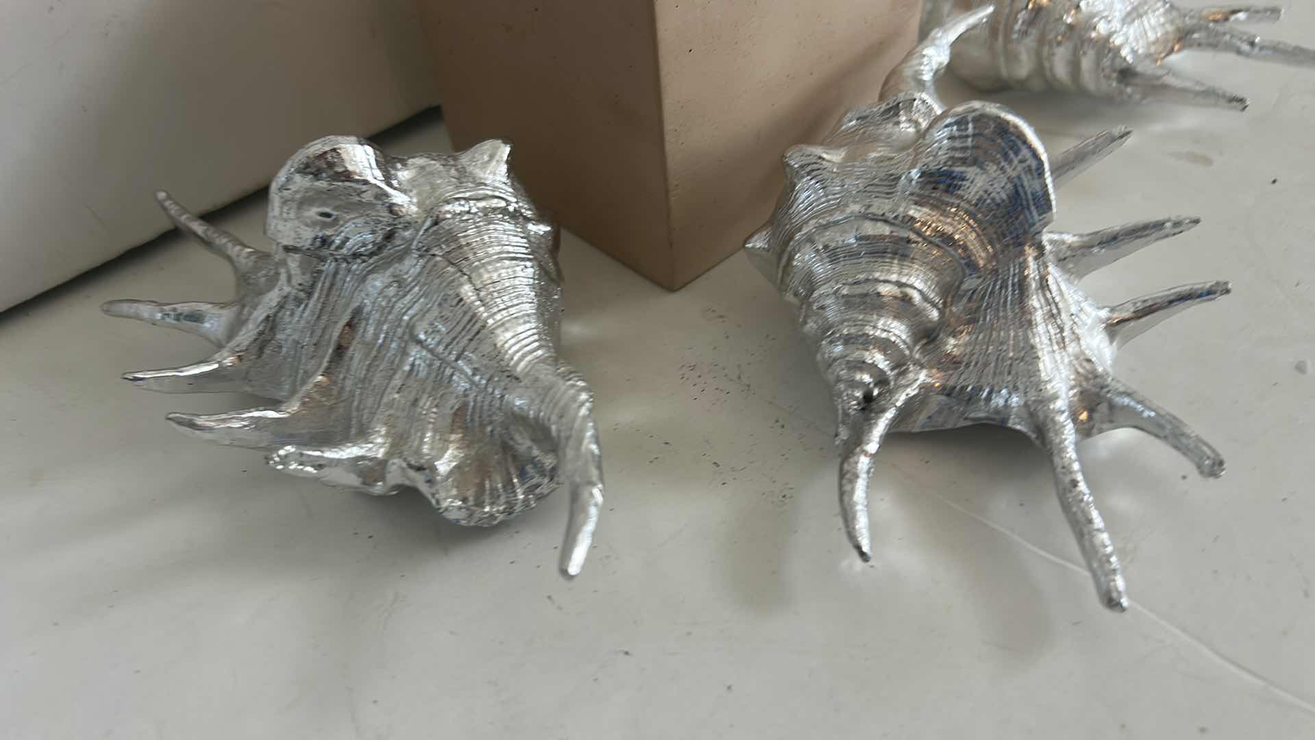 Photo 1 of SHELL HOME DECOR, (TALLEST 15”)