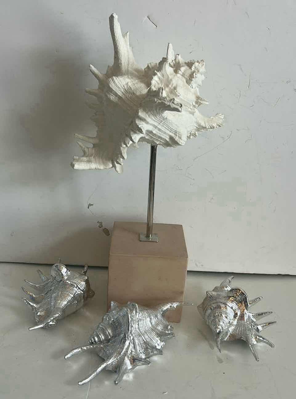 Photo 1 of SHELL HOME DECOR, (TALLEST 15”)