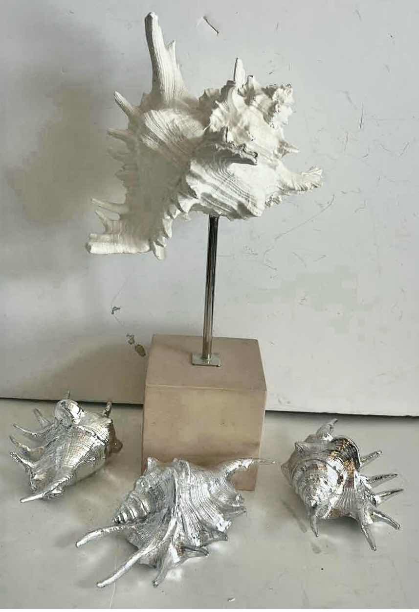 Photo 1 of SHELL HOME DECOR, (TALLEST 15”)